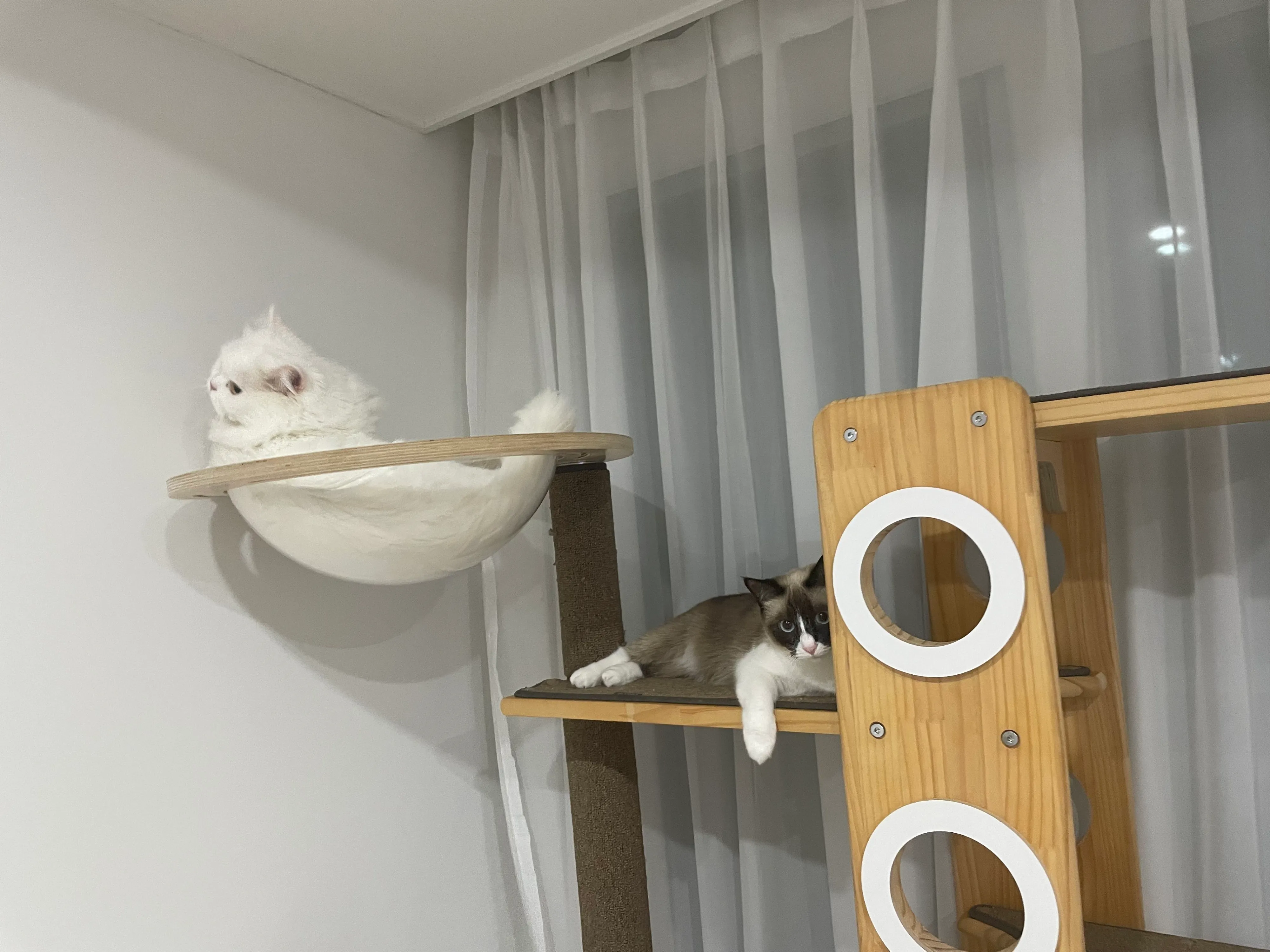 4번째 파일