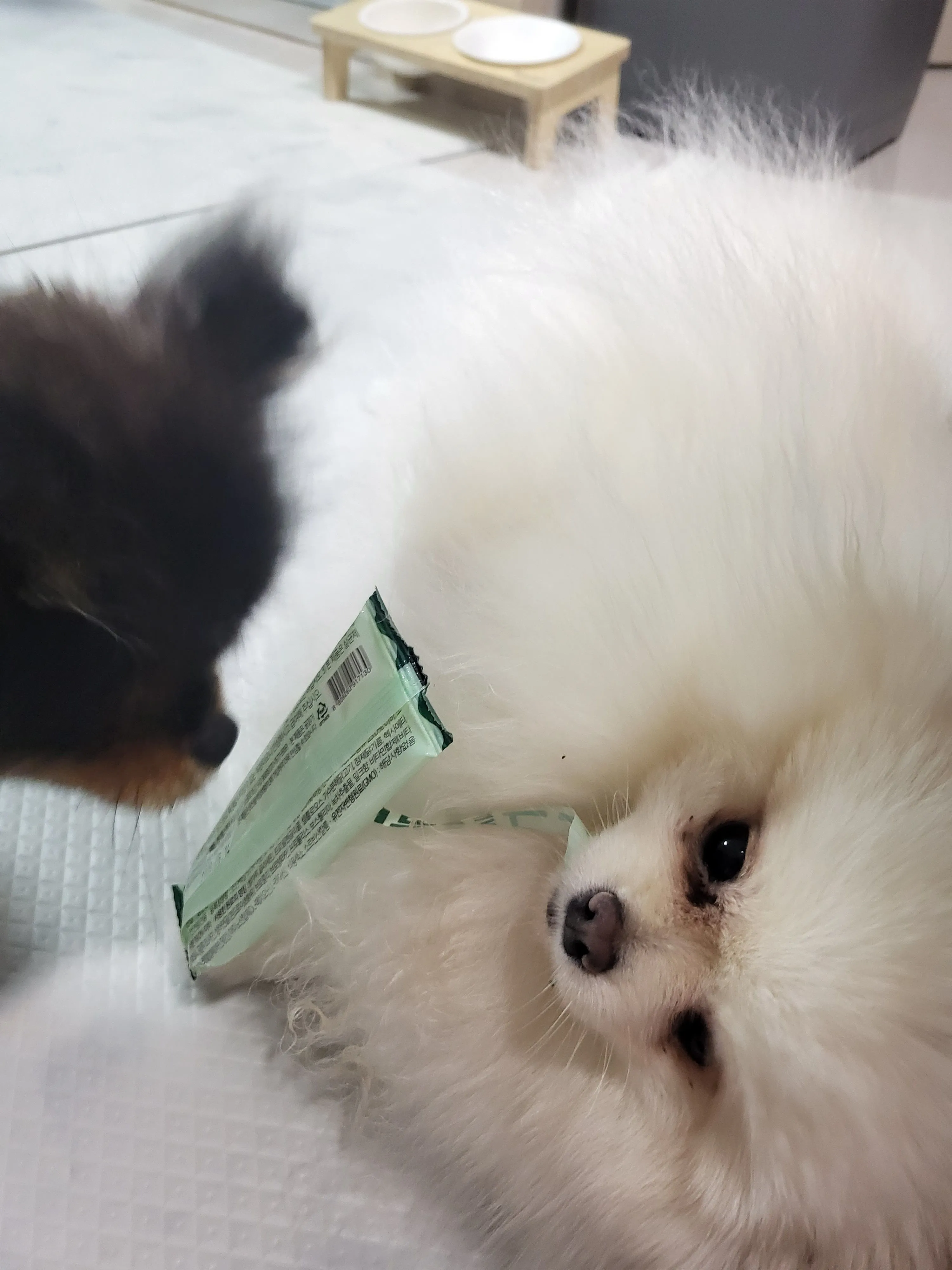 3번째 파일