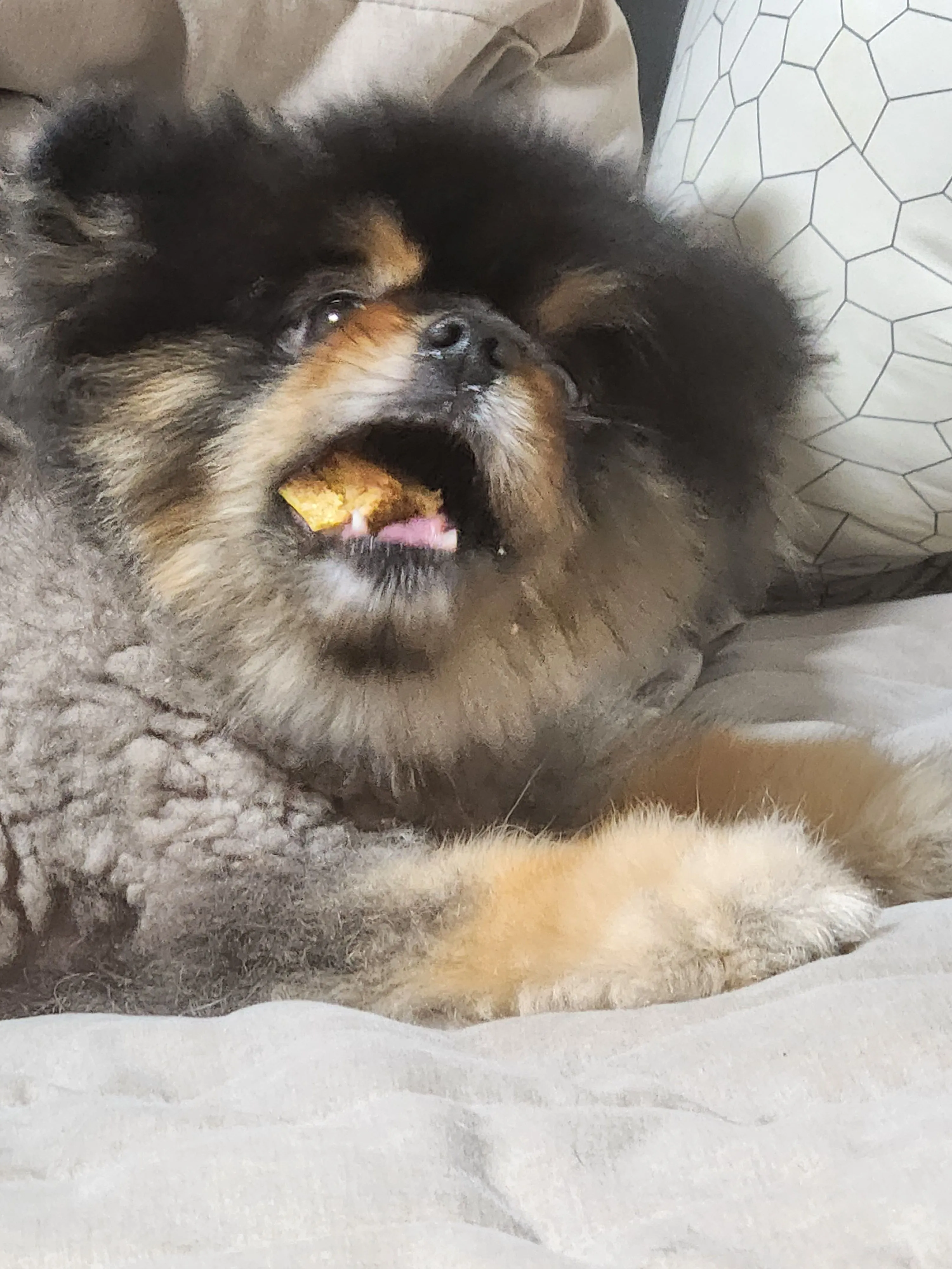 2번째 파일