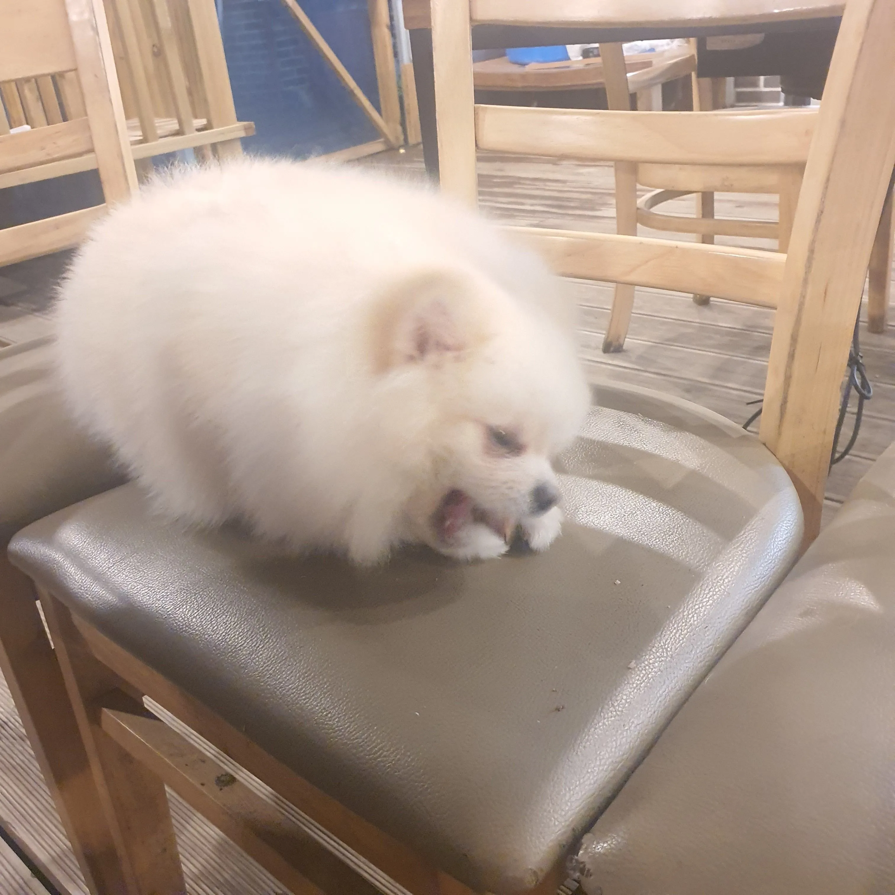 1번째 파일