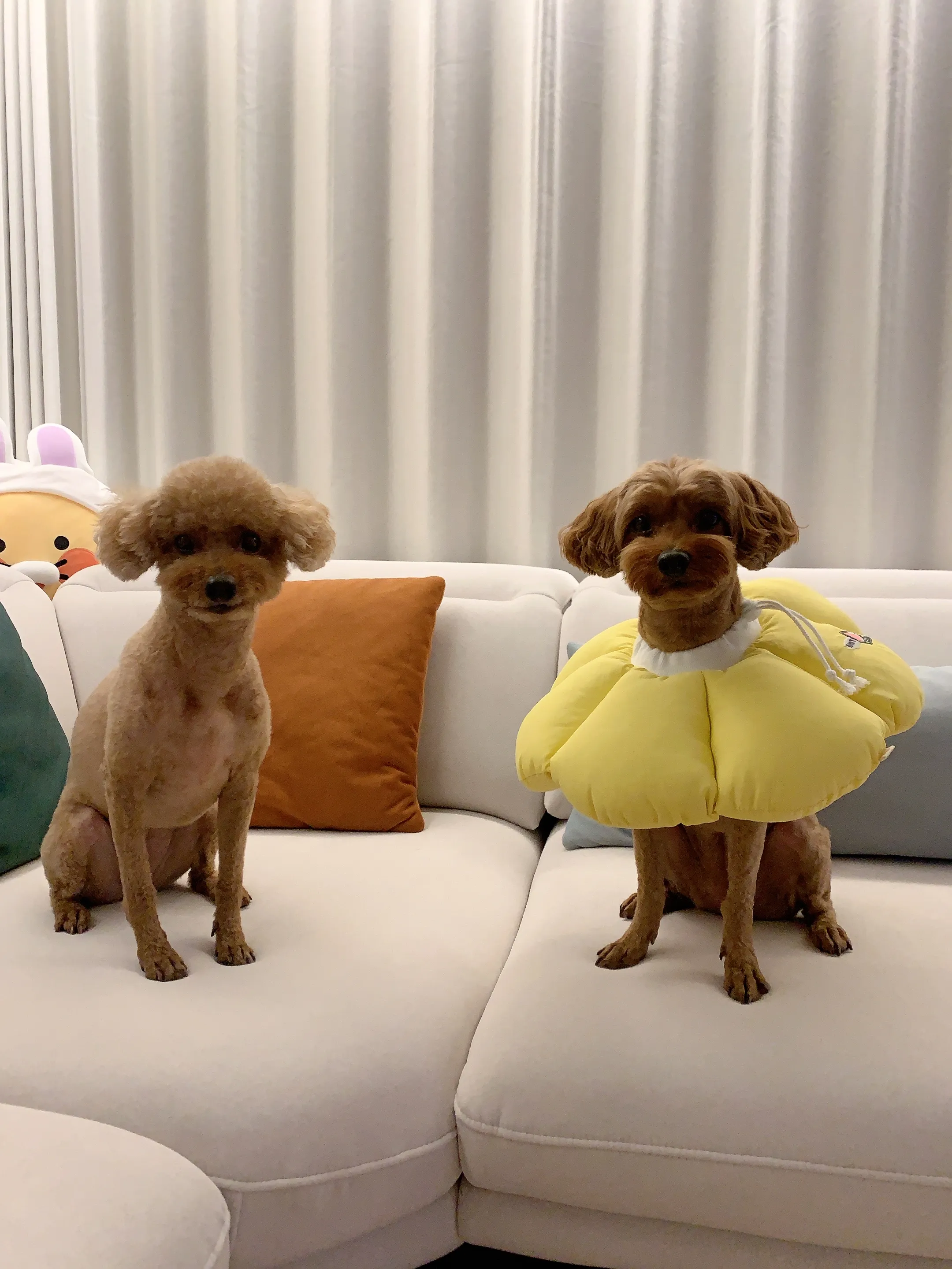 1번째 파일