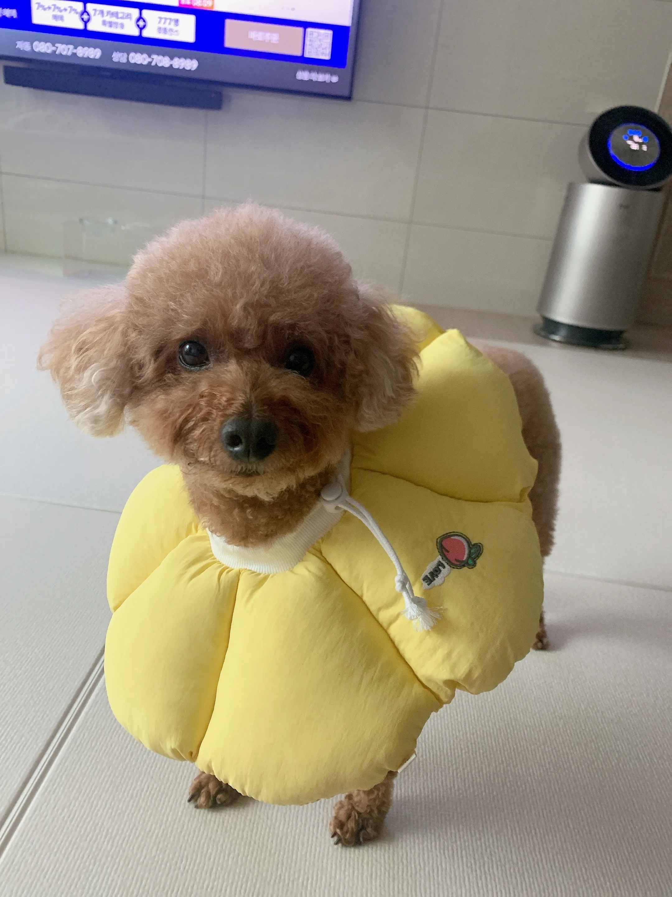 3번째 파일