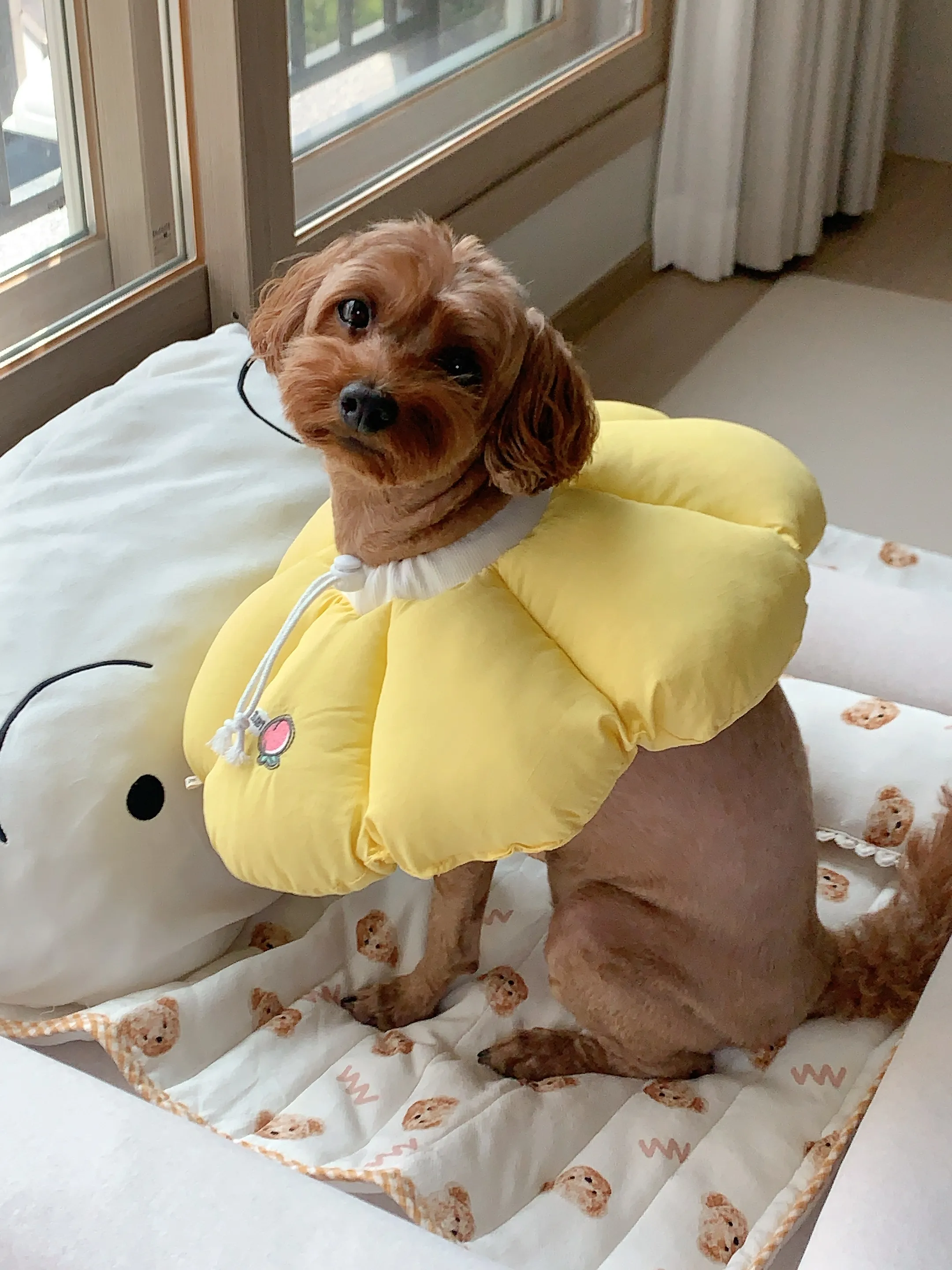 2번째 파일