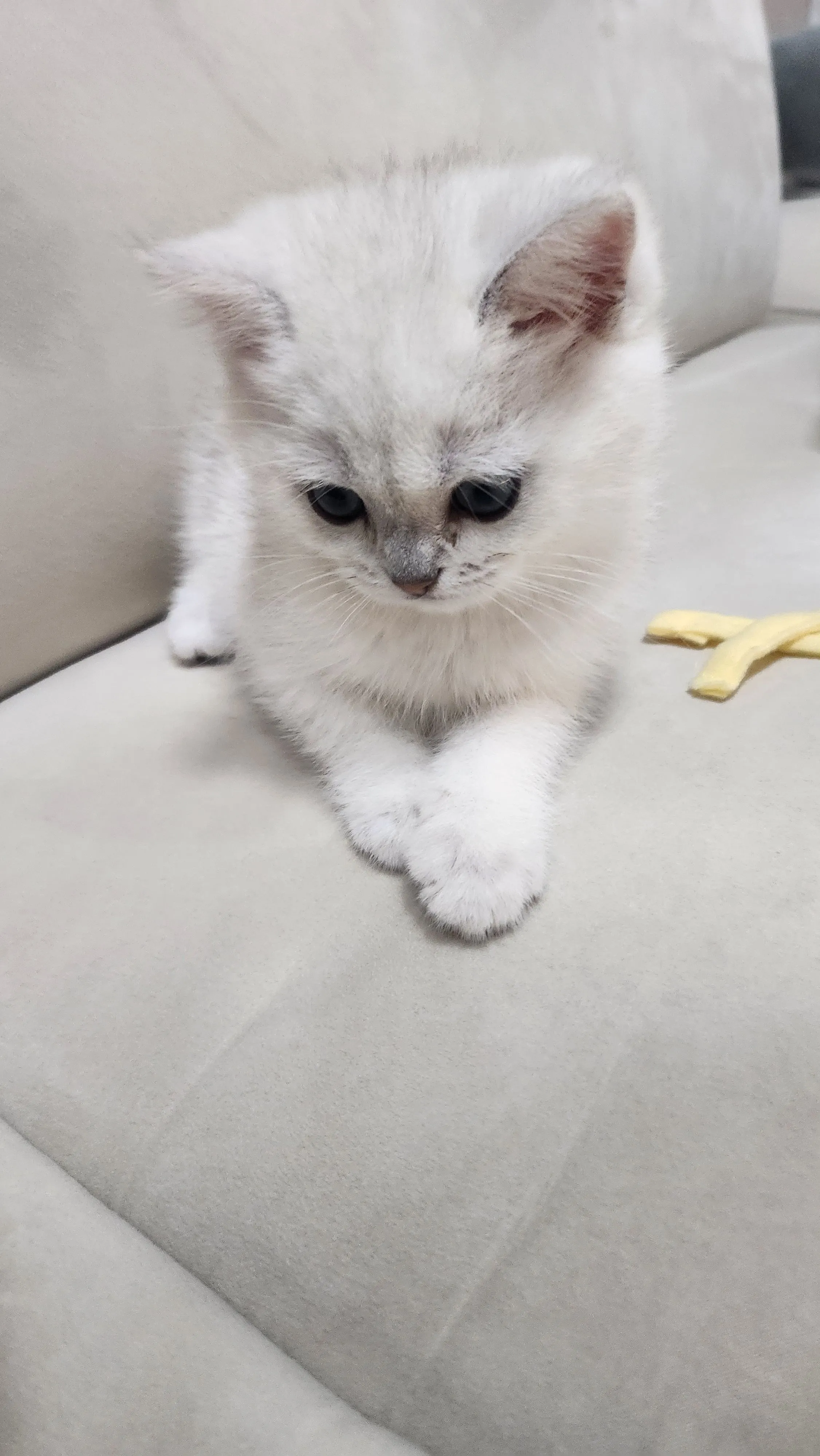 1번째 파일