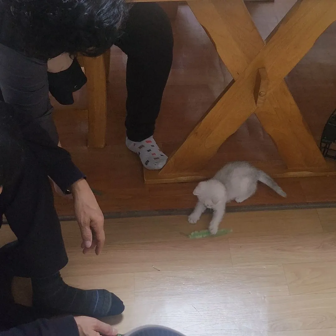 5번째 파일