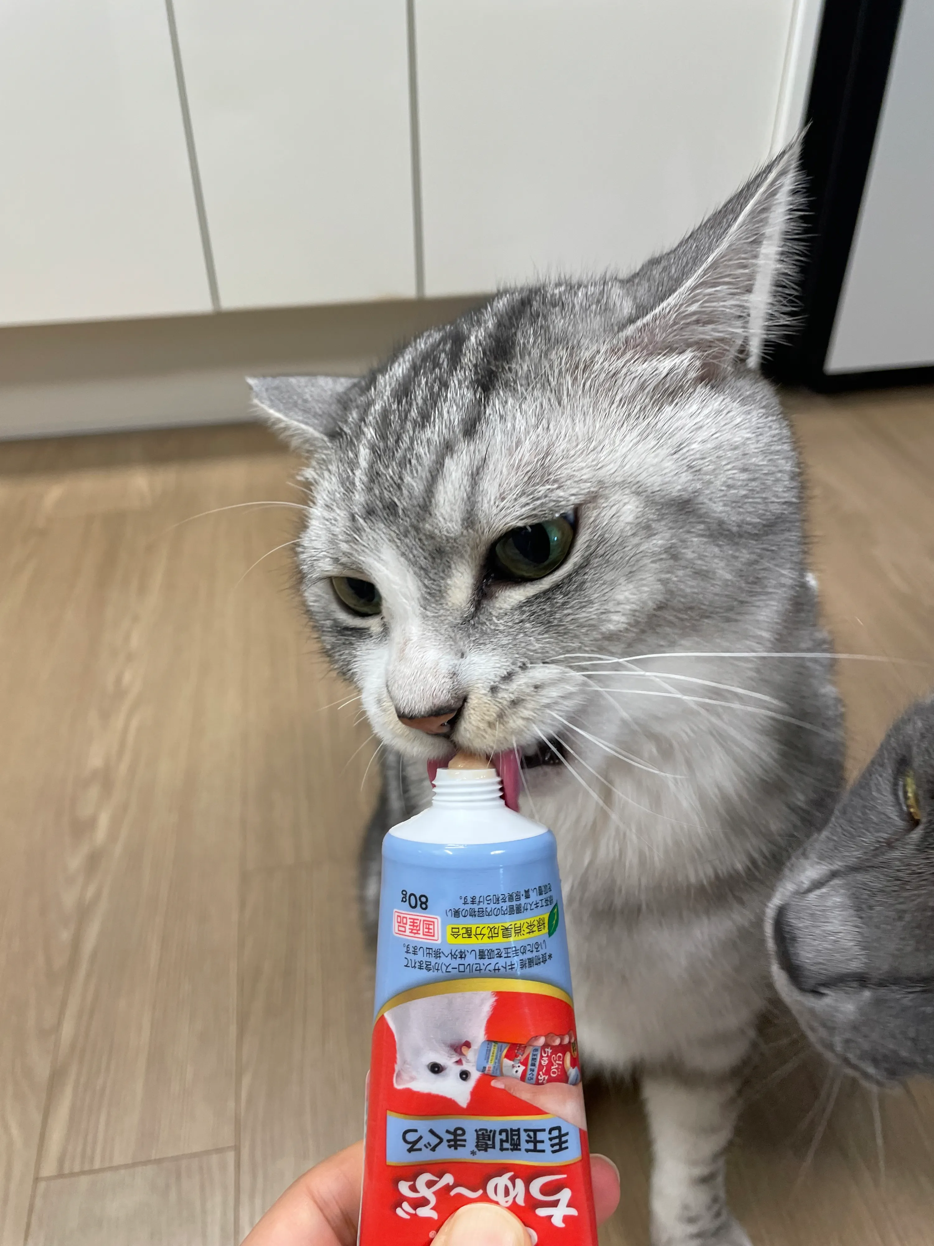 5번째 파일