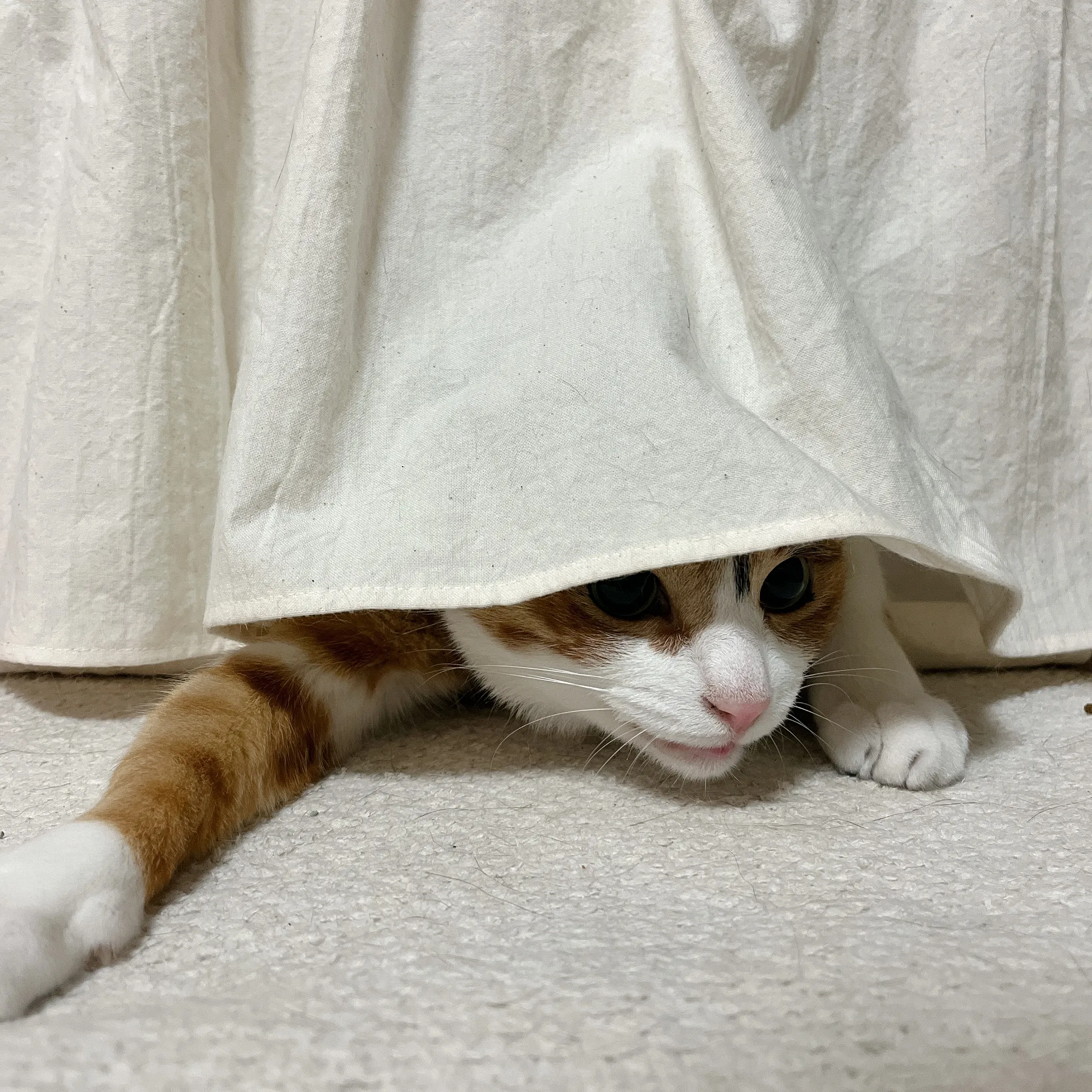 2번째 파일
