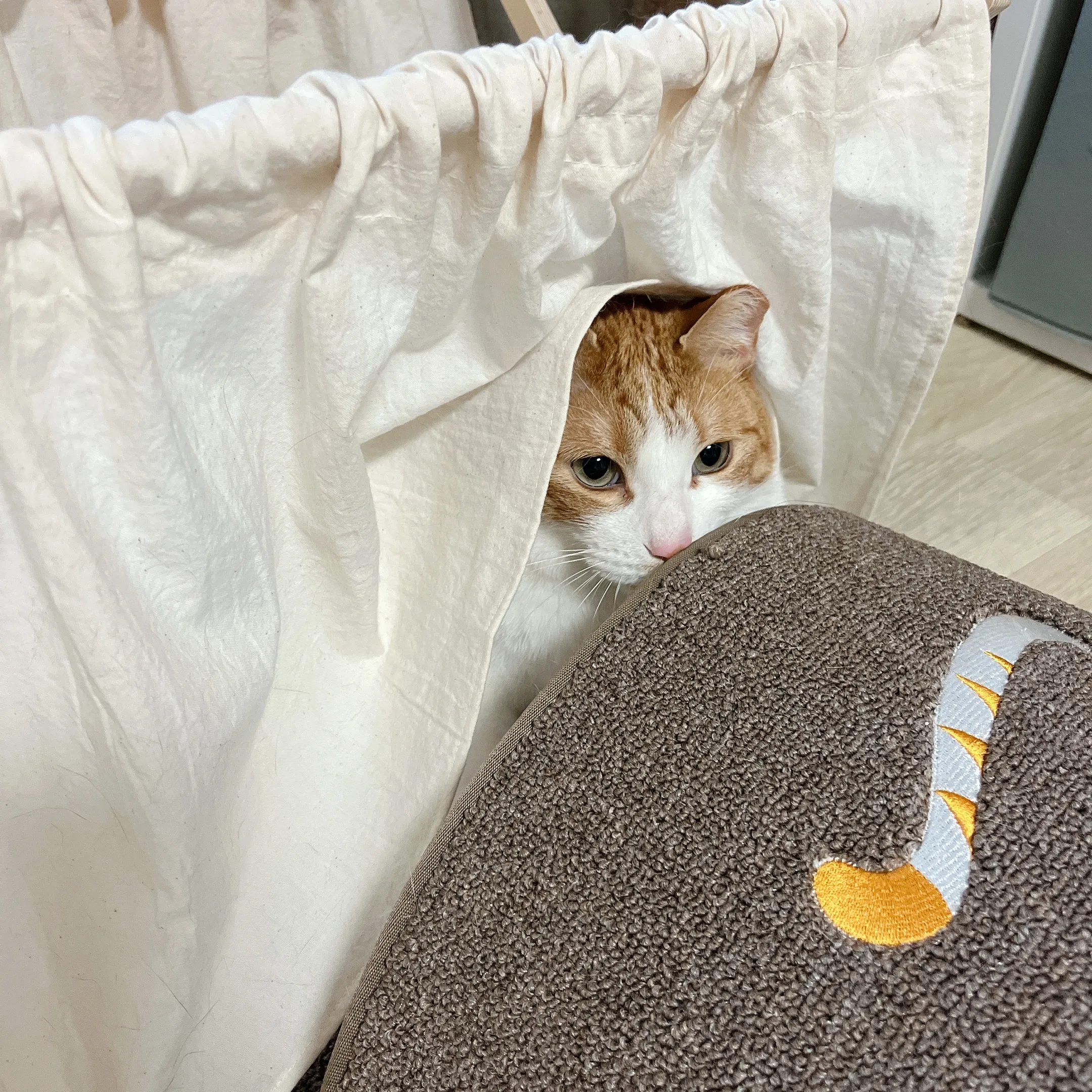 1번째 파일