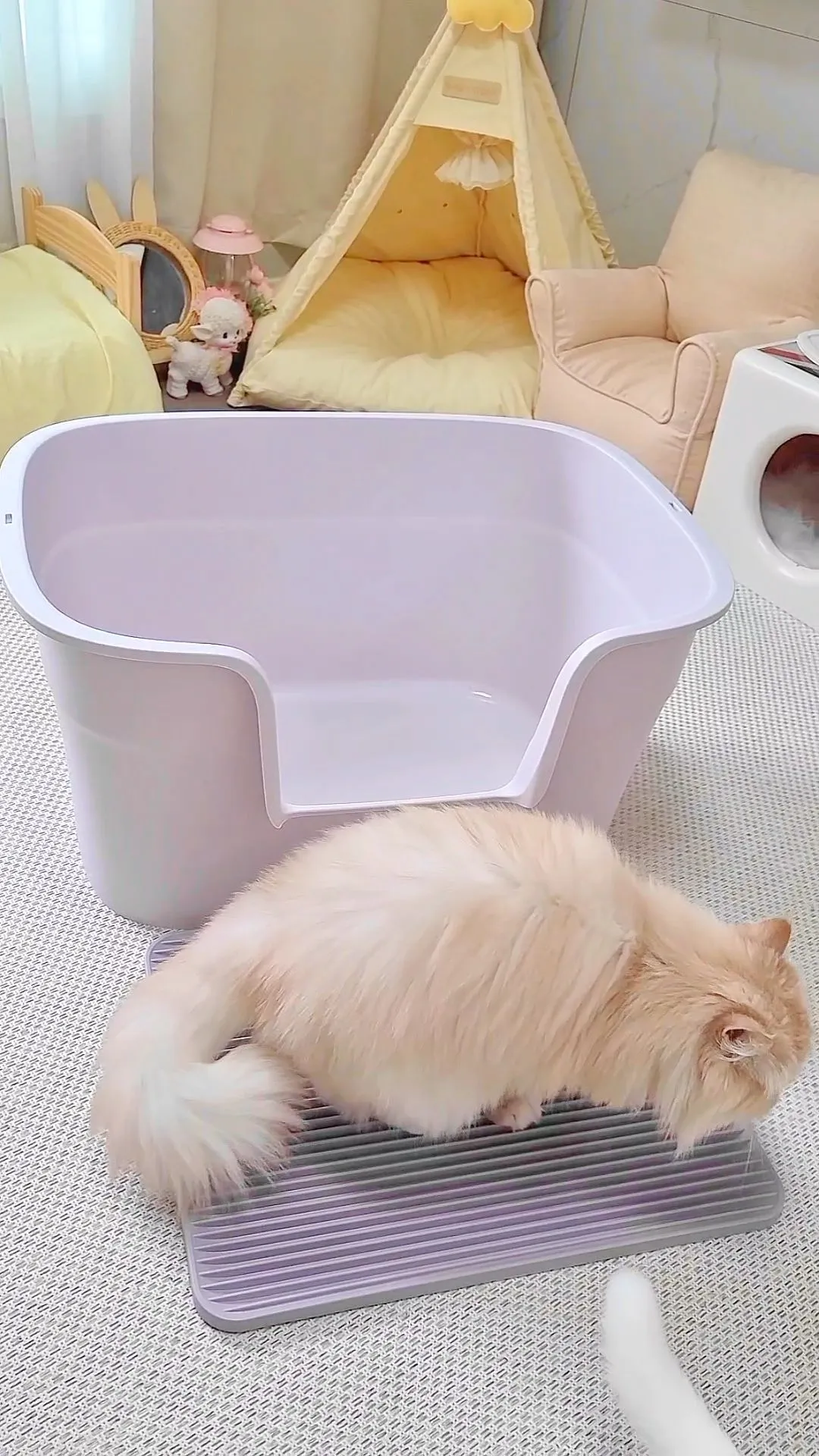 3번째 파일