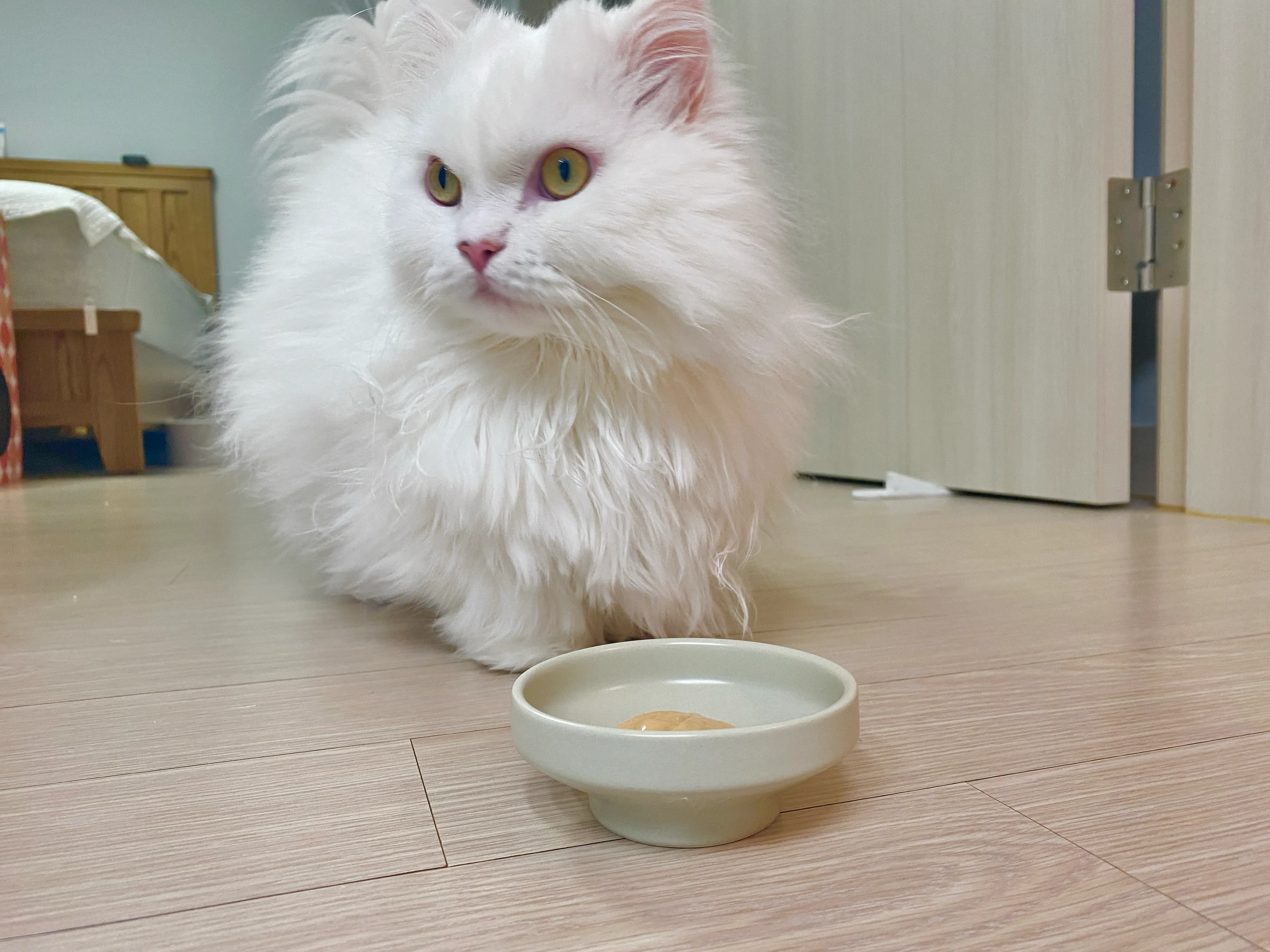 3번째 파일