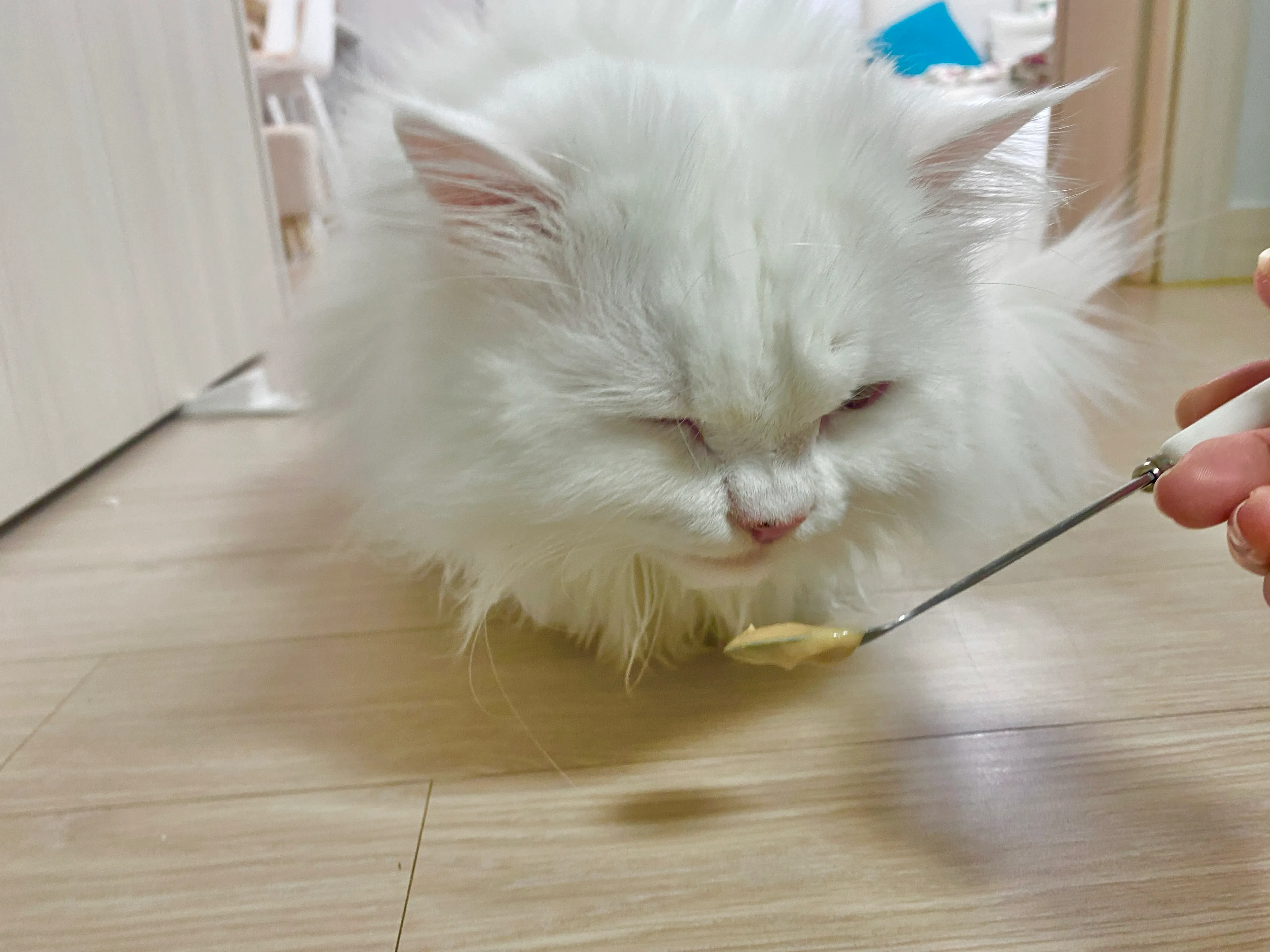 4번째 파일