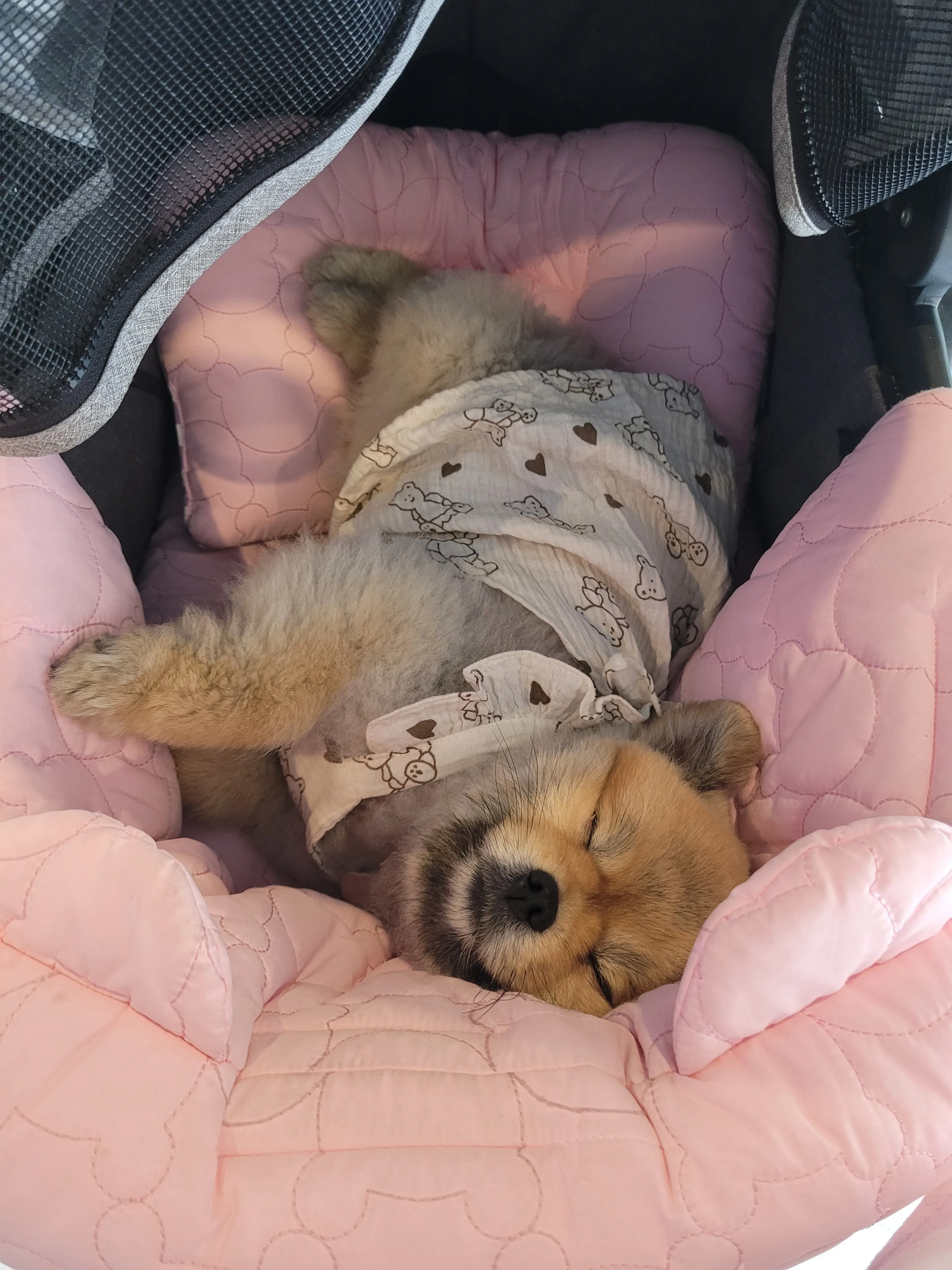 1번째 파일