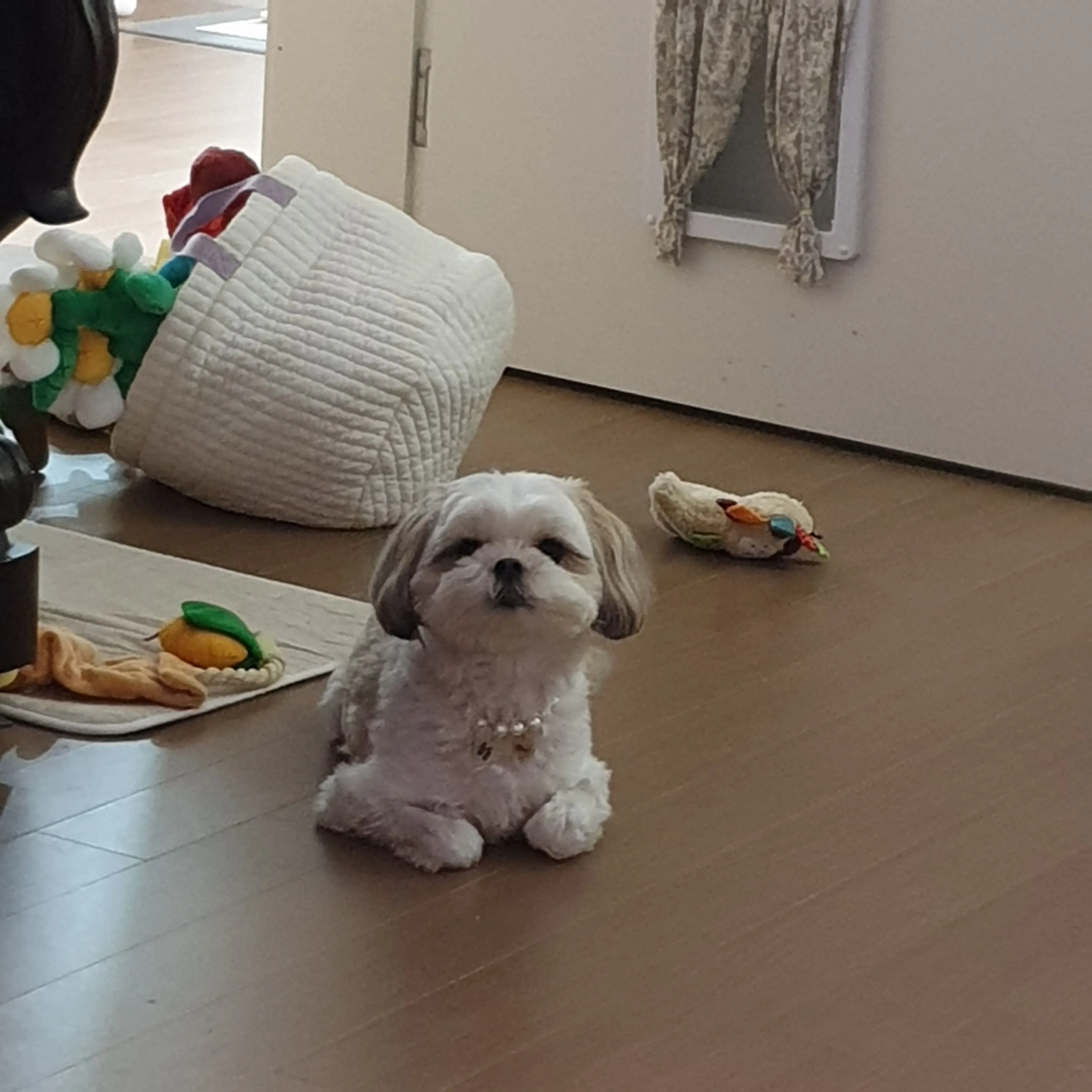 1번째 파일
