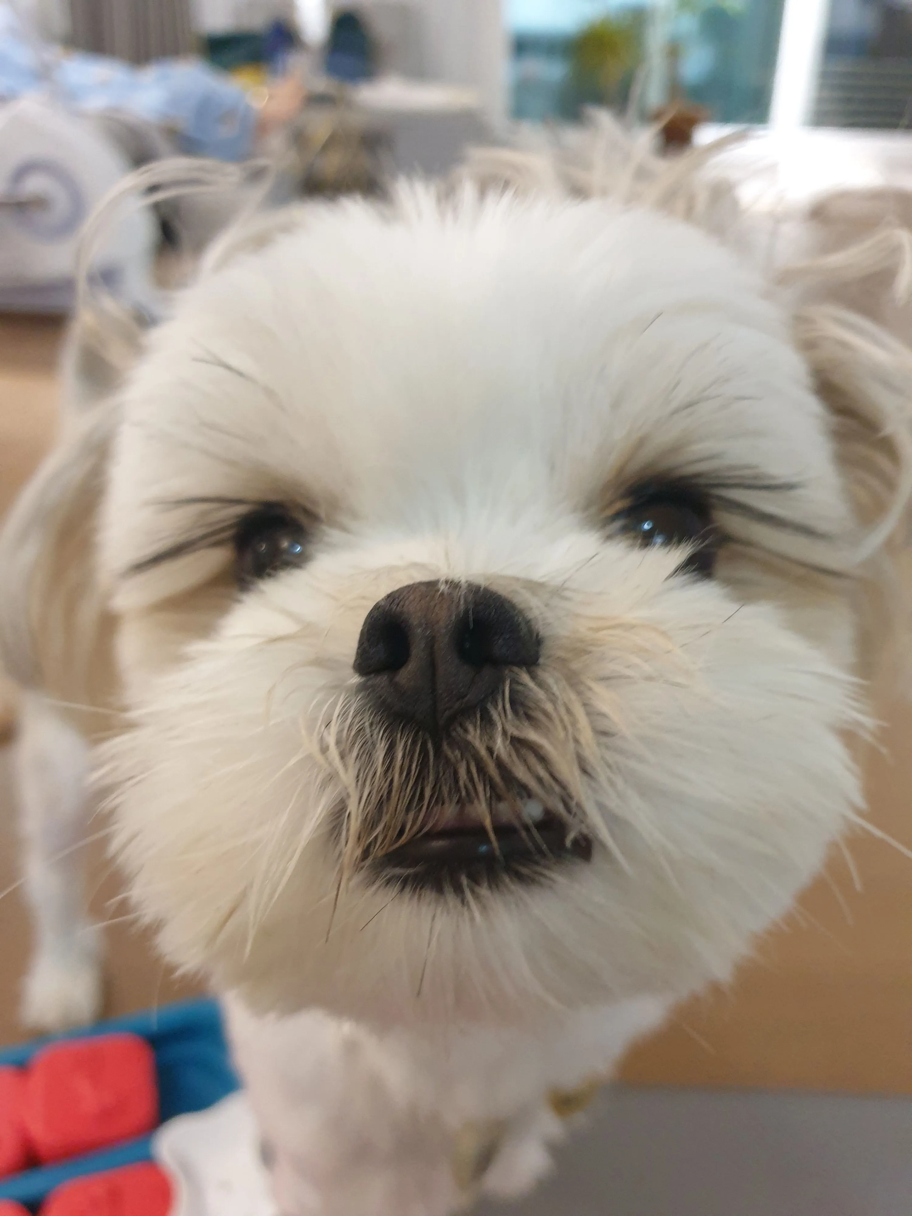 4번째 파일