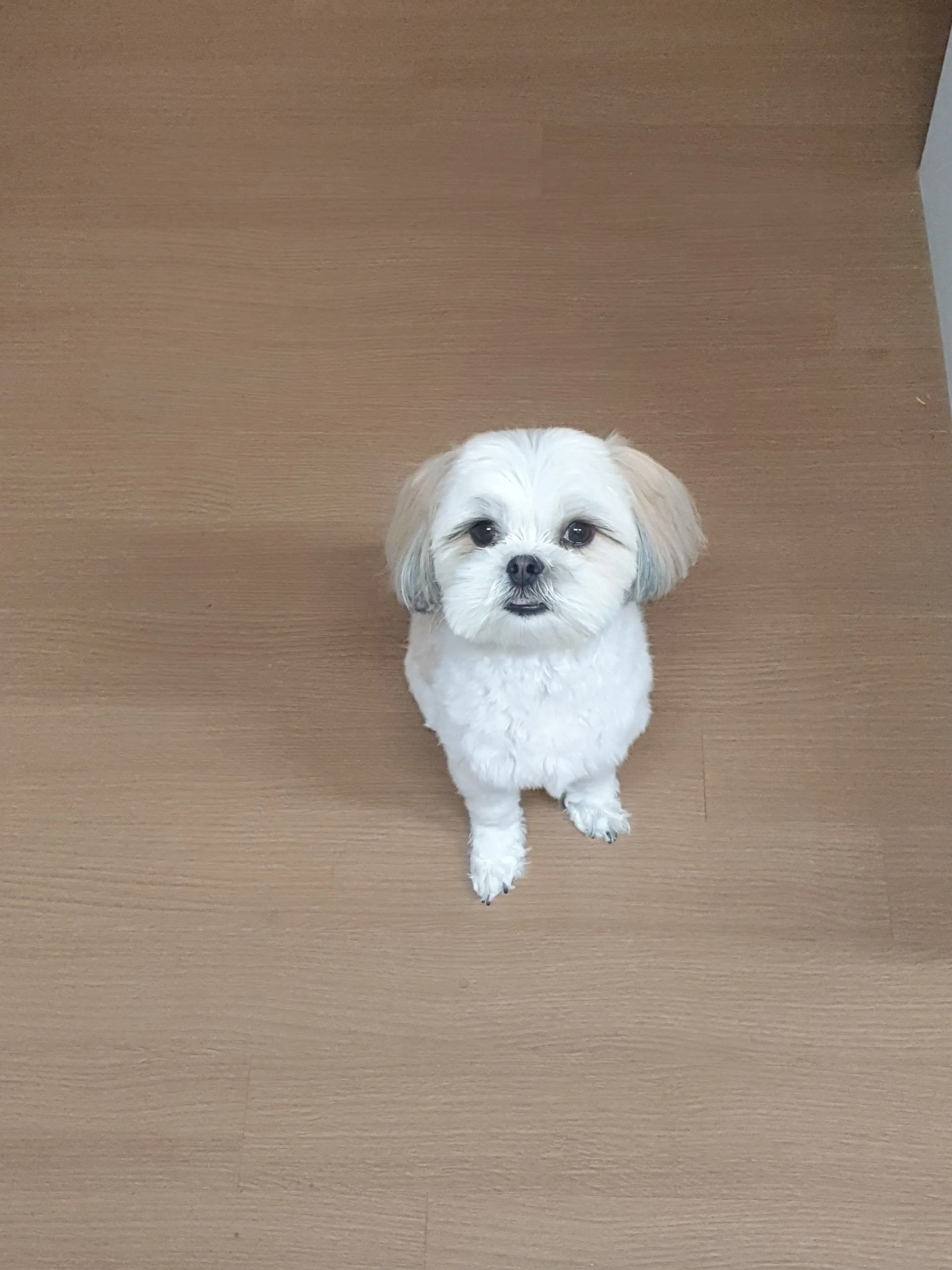 1번째 파일