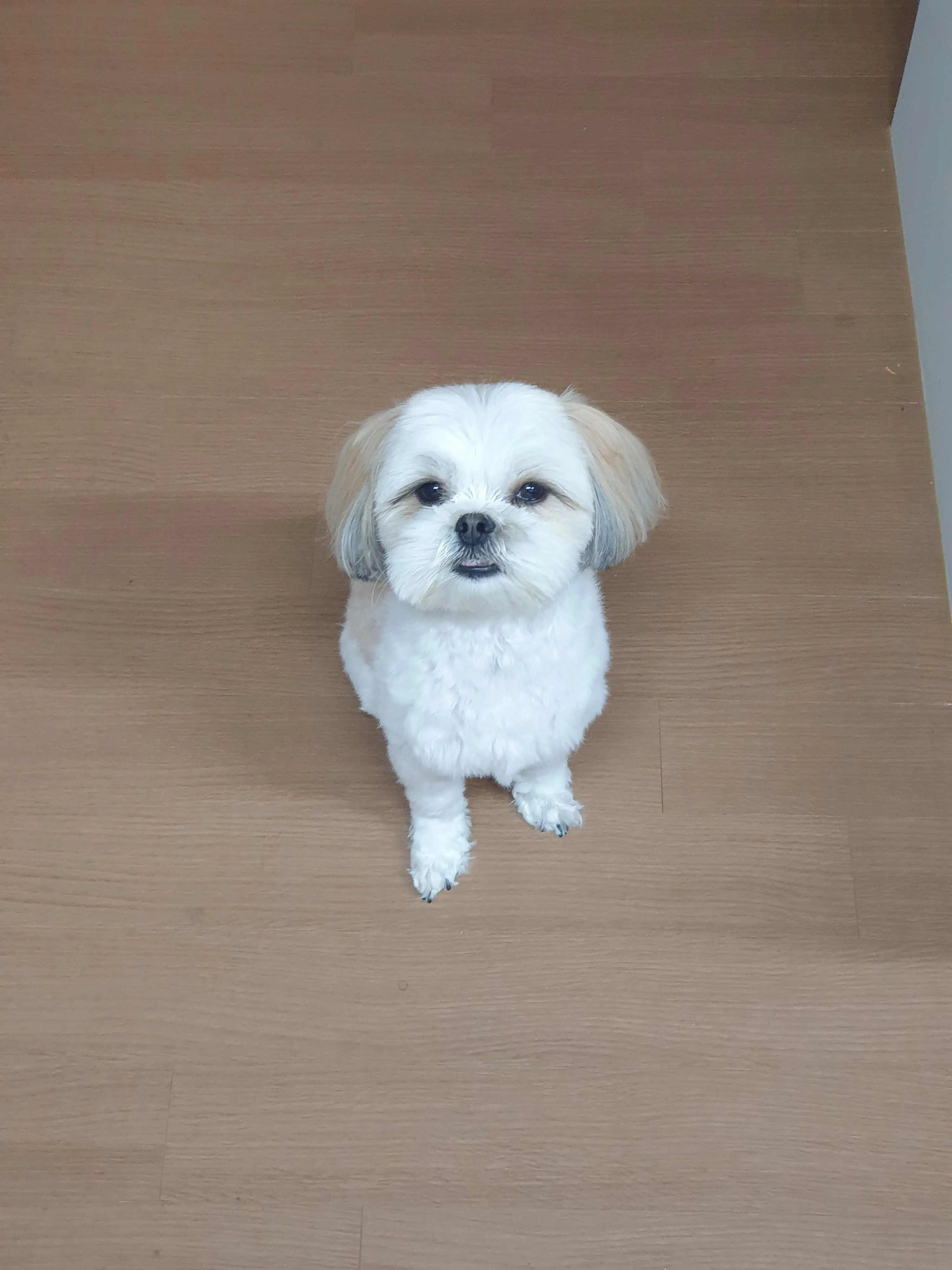 2번째 파일