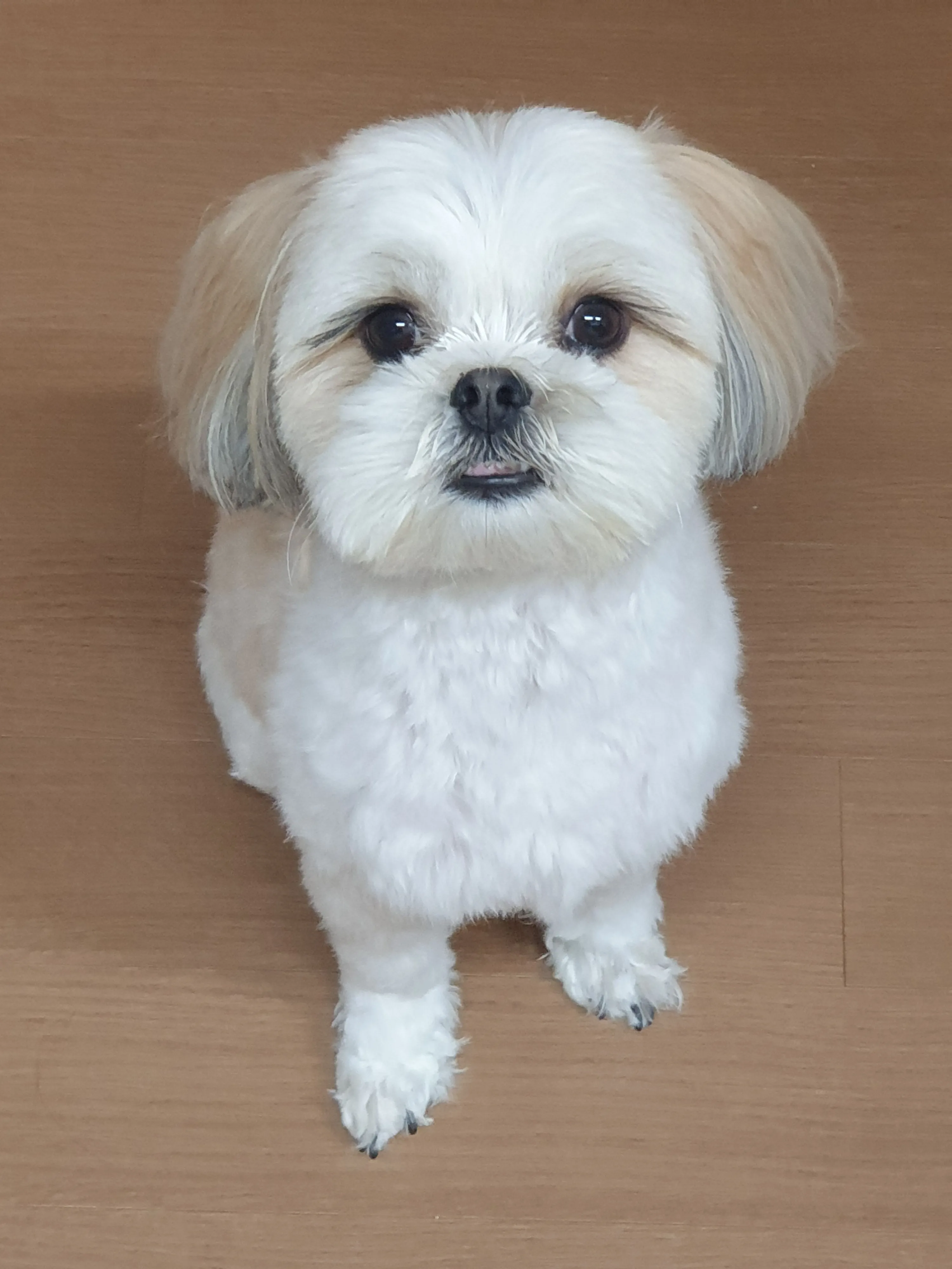 4번째 파일
