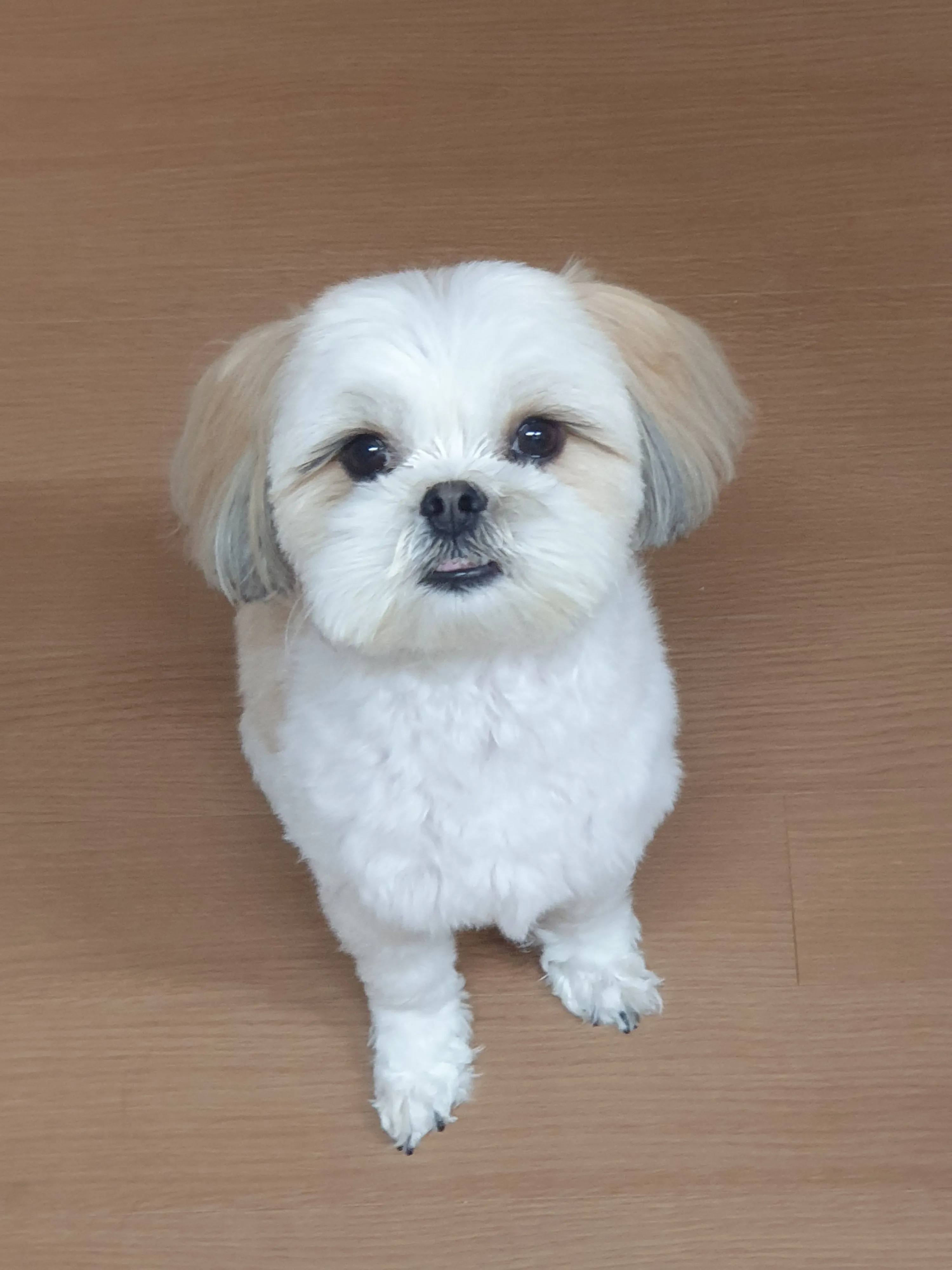 3번째 파일