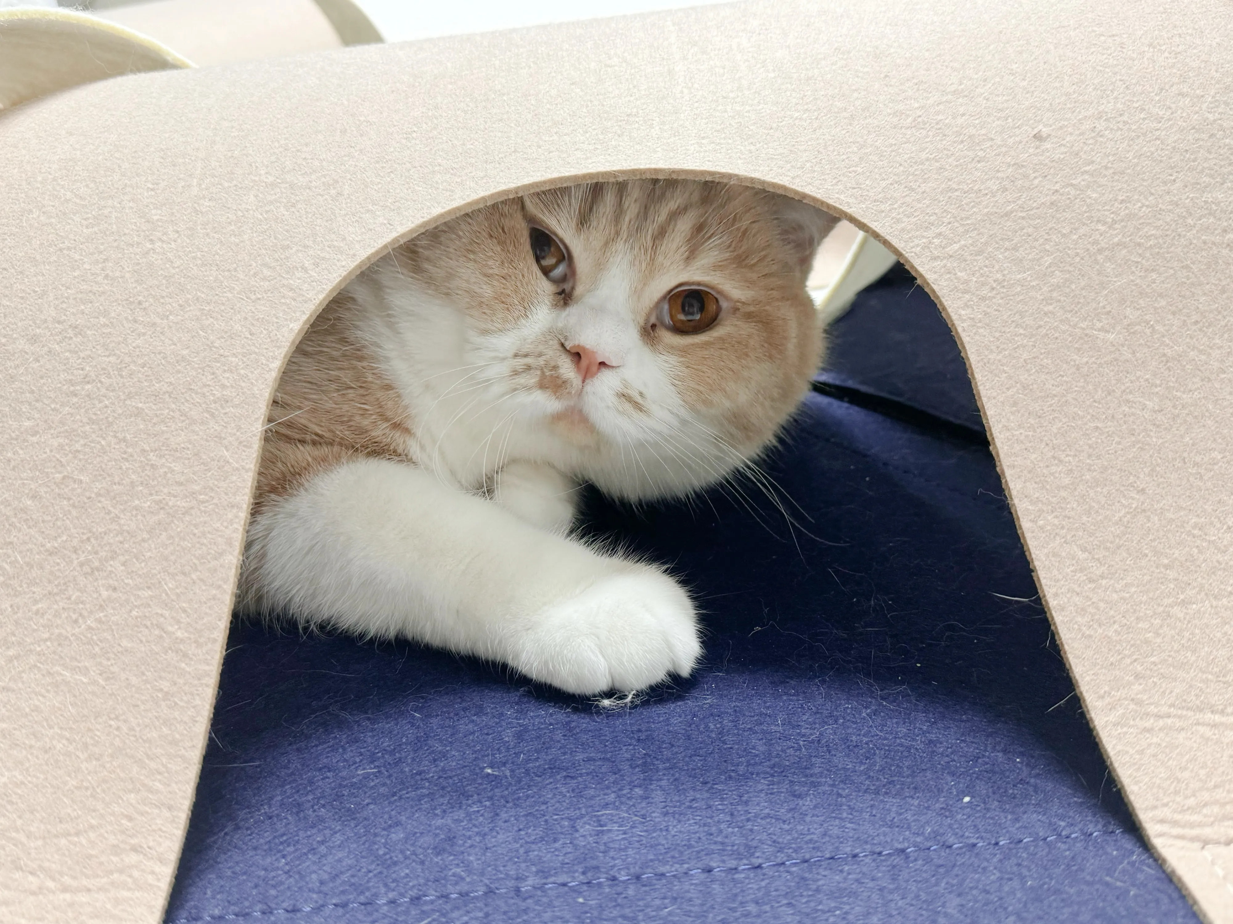 2번째 파일