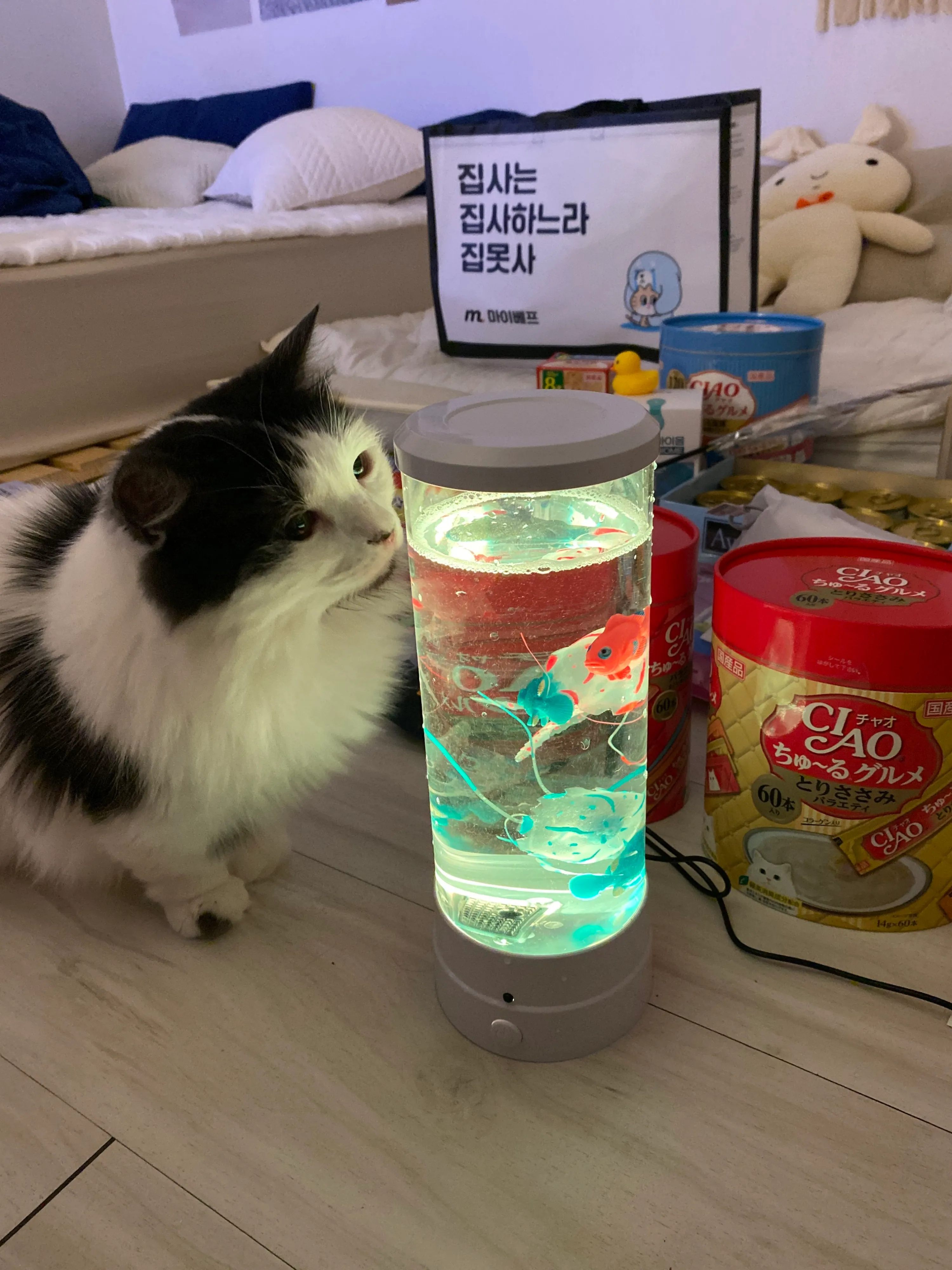 5번째 파일