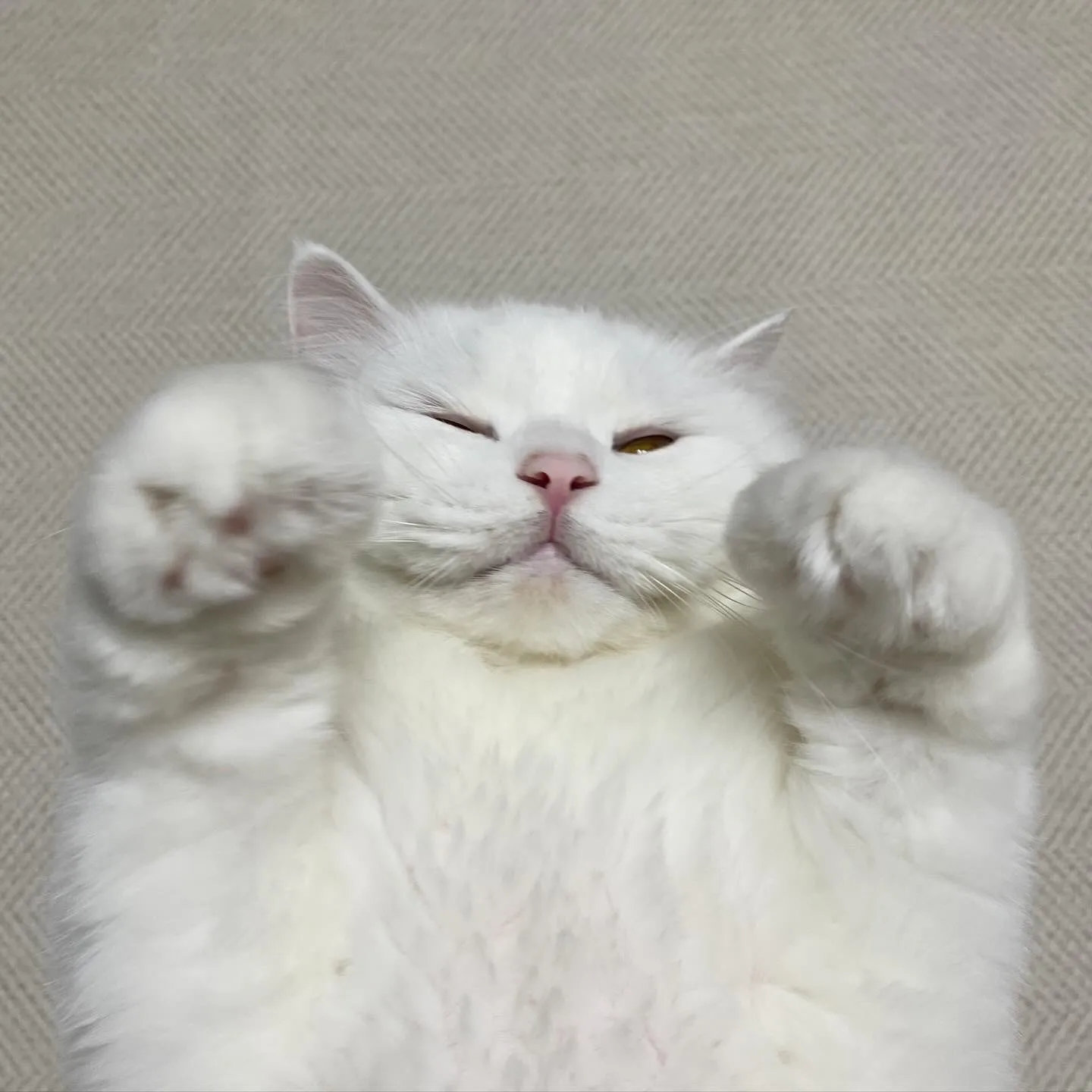2번째 파일