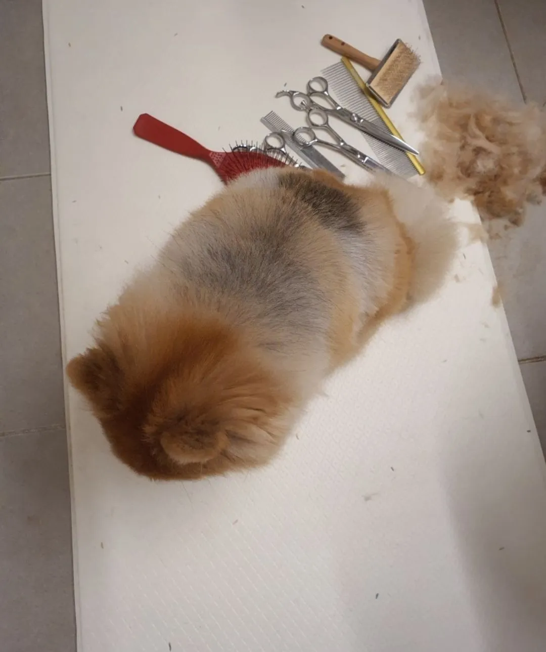 5번째 파일