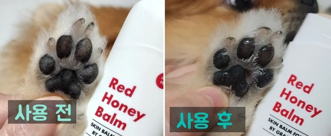 2번째 파일