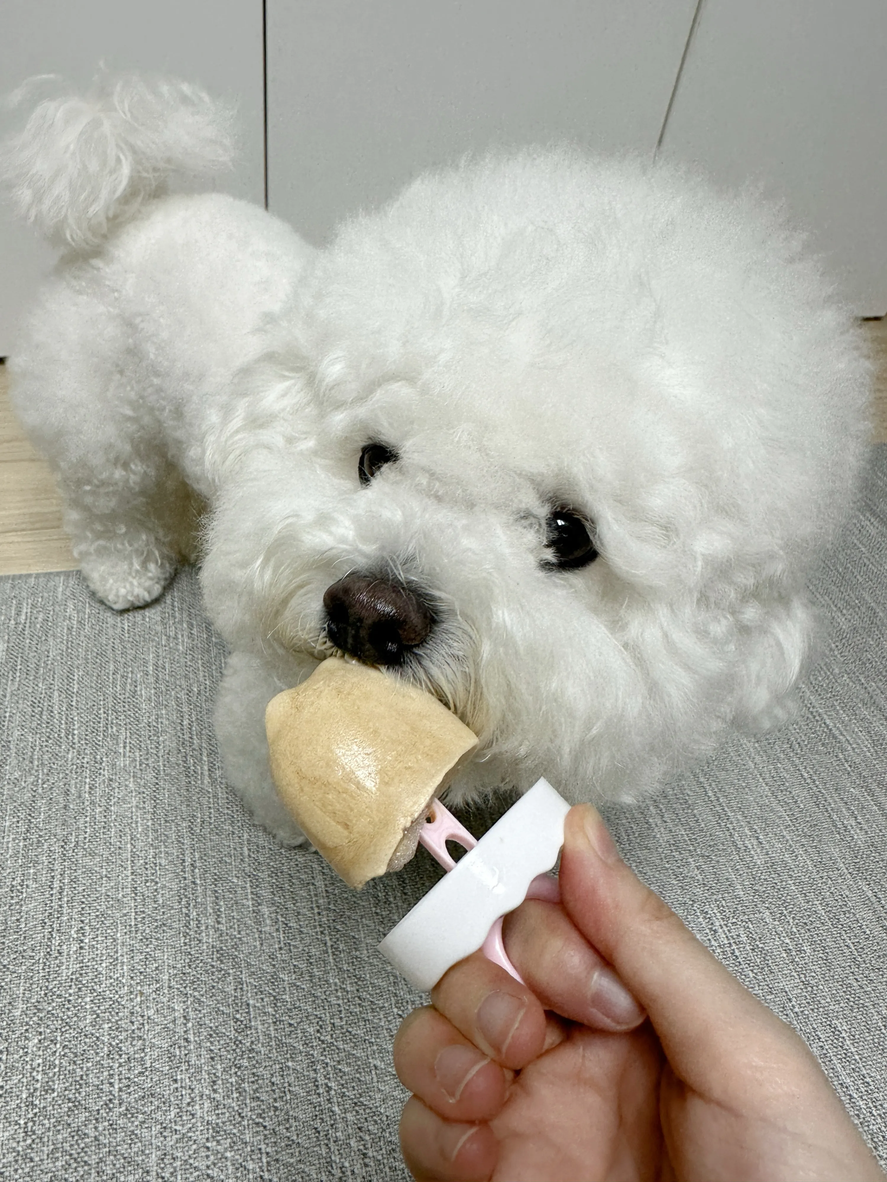 3번째 파일