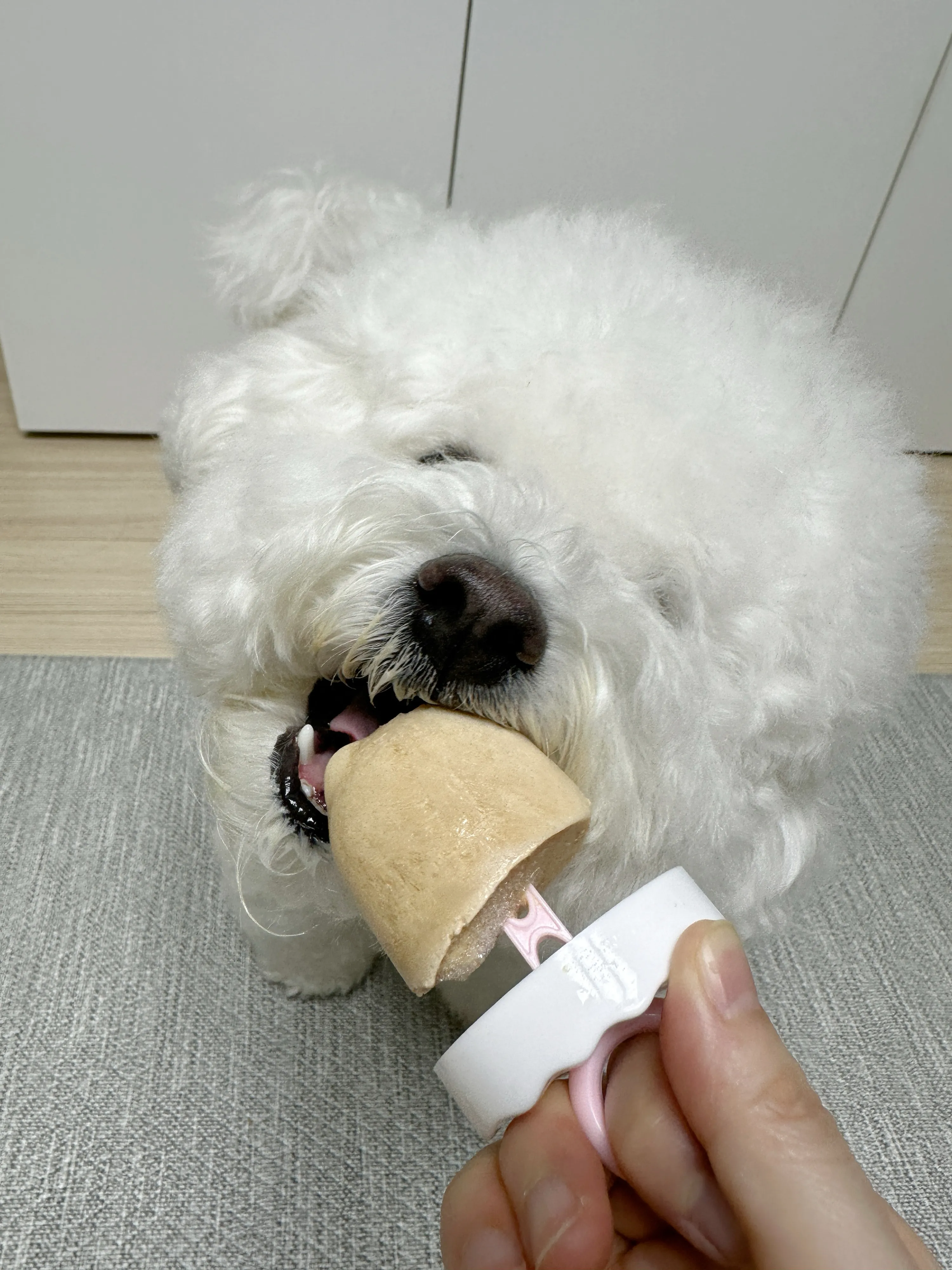 5번째 파일