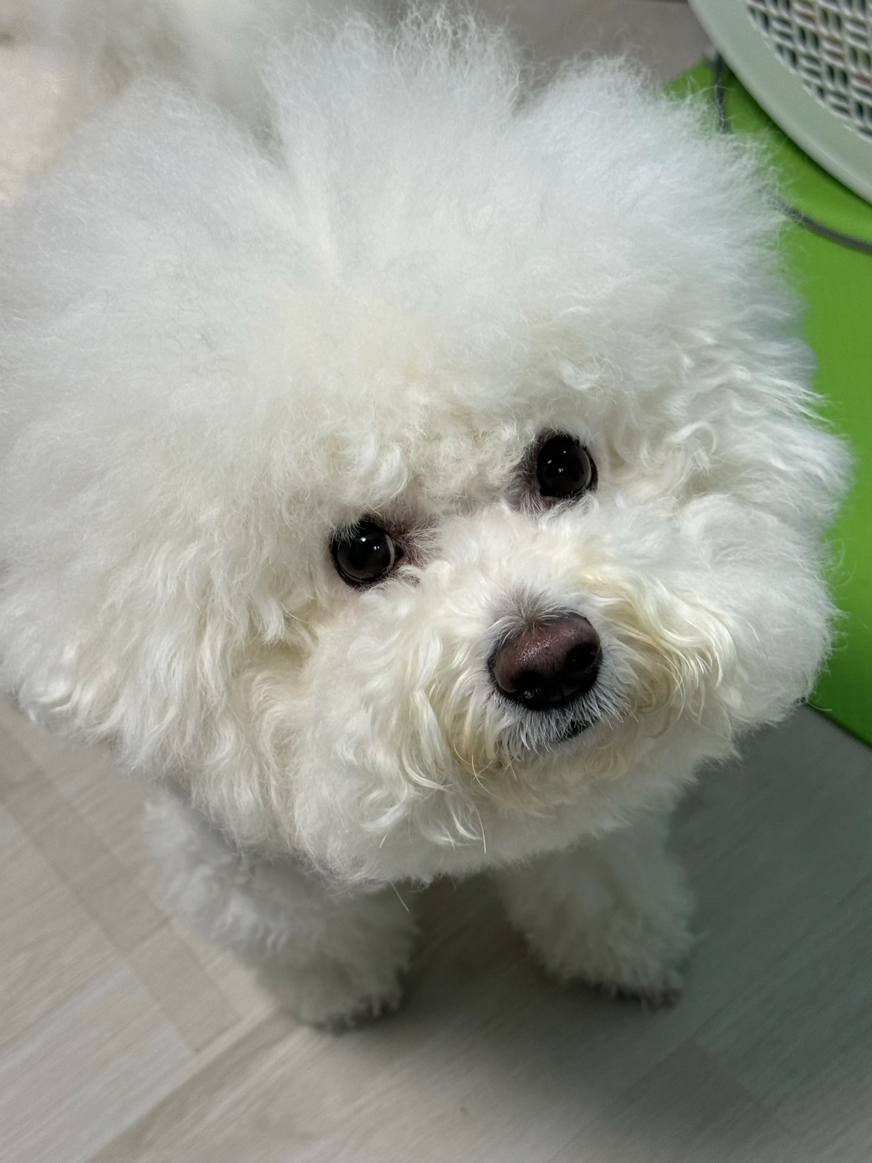 2번째 파일