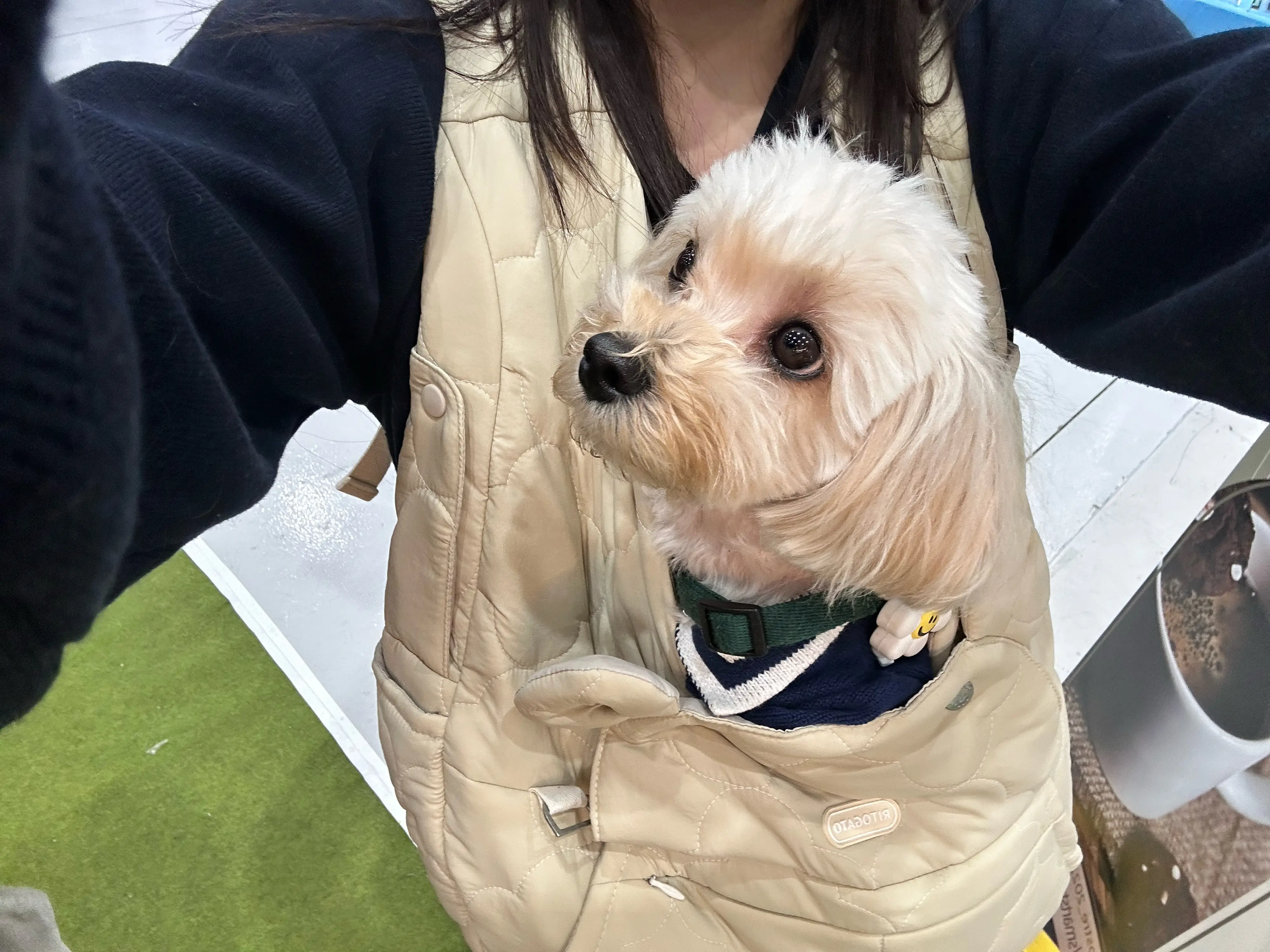 1번째 파일