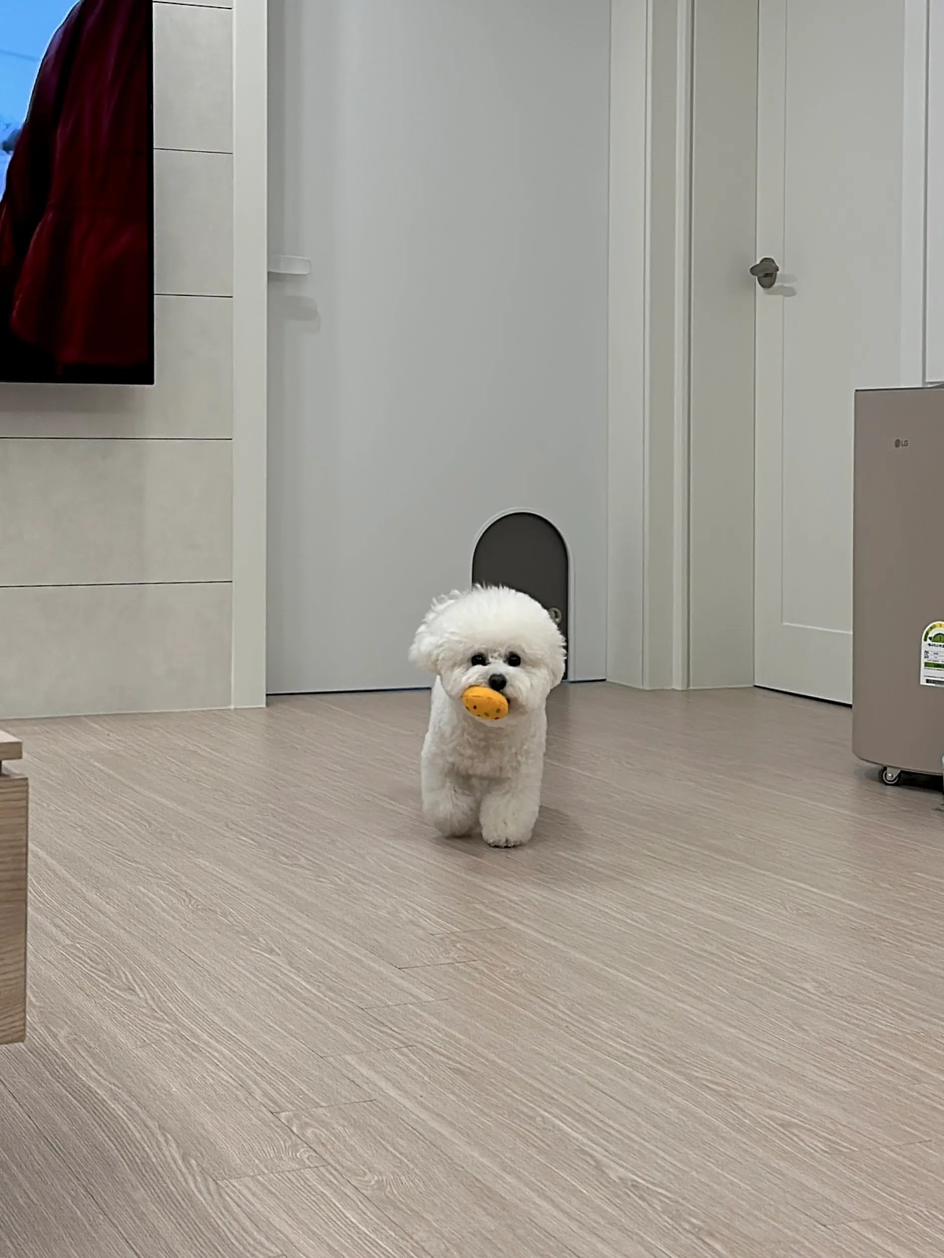 4번째 파일