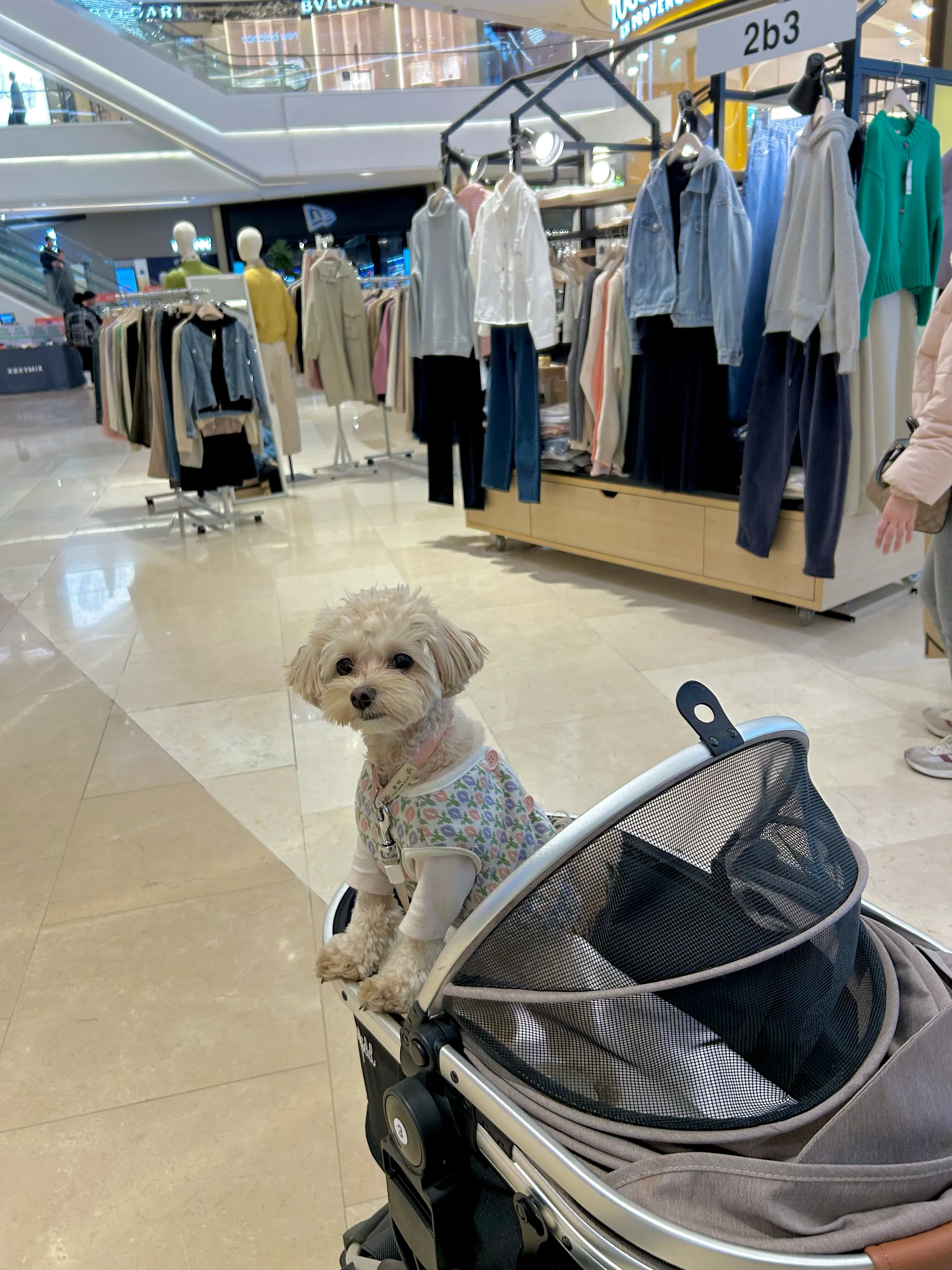 1번째 파일