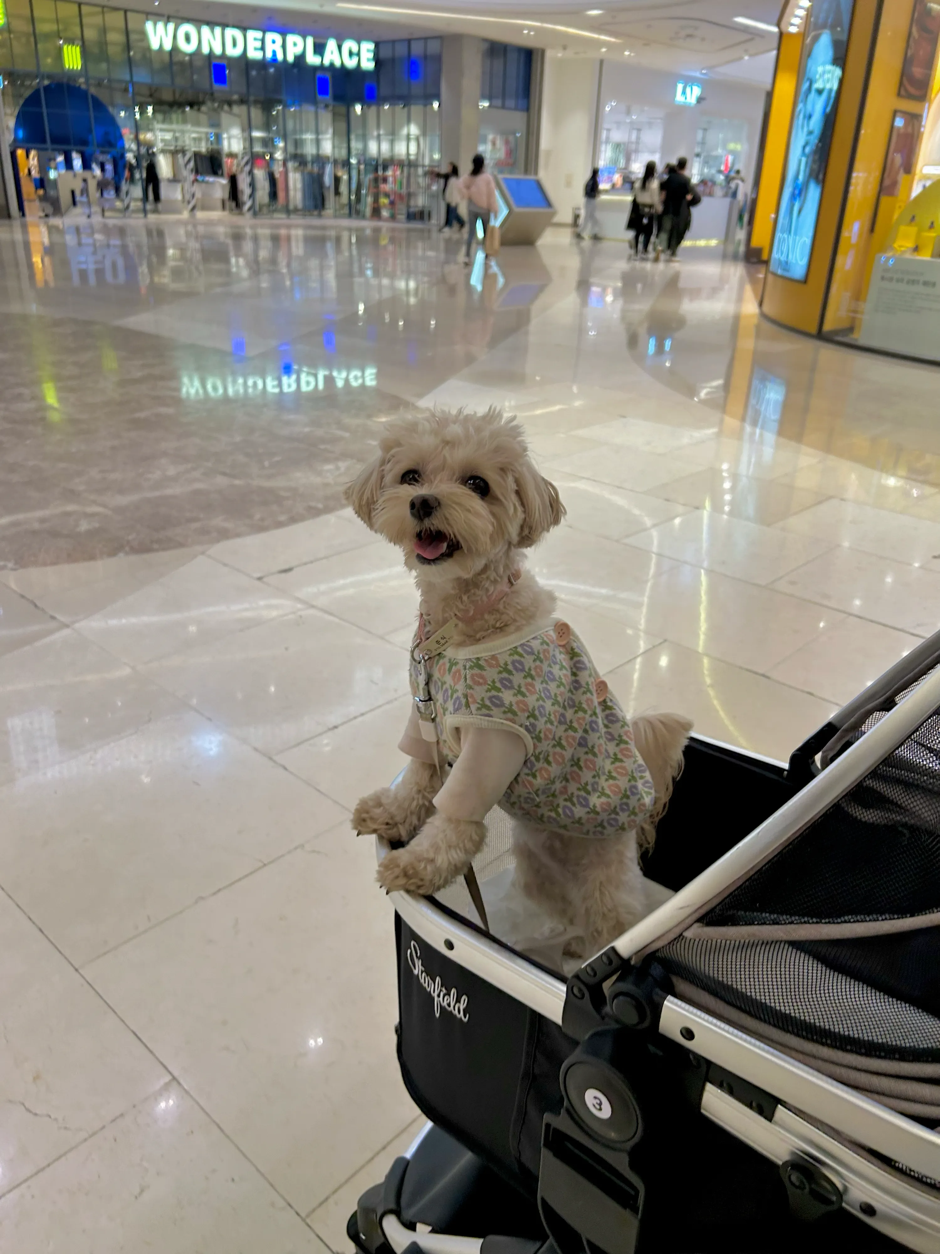 2번째 파일