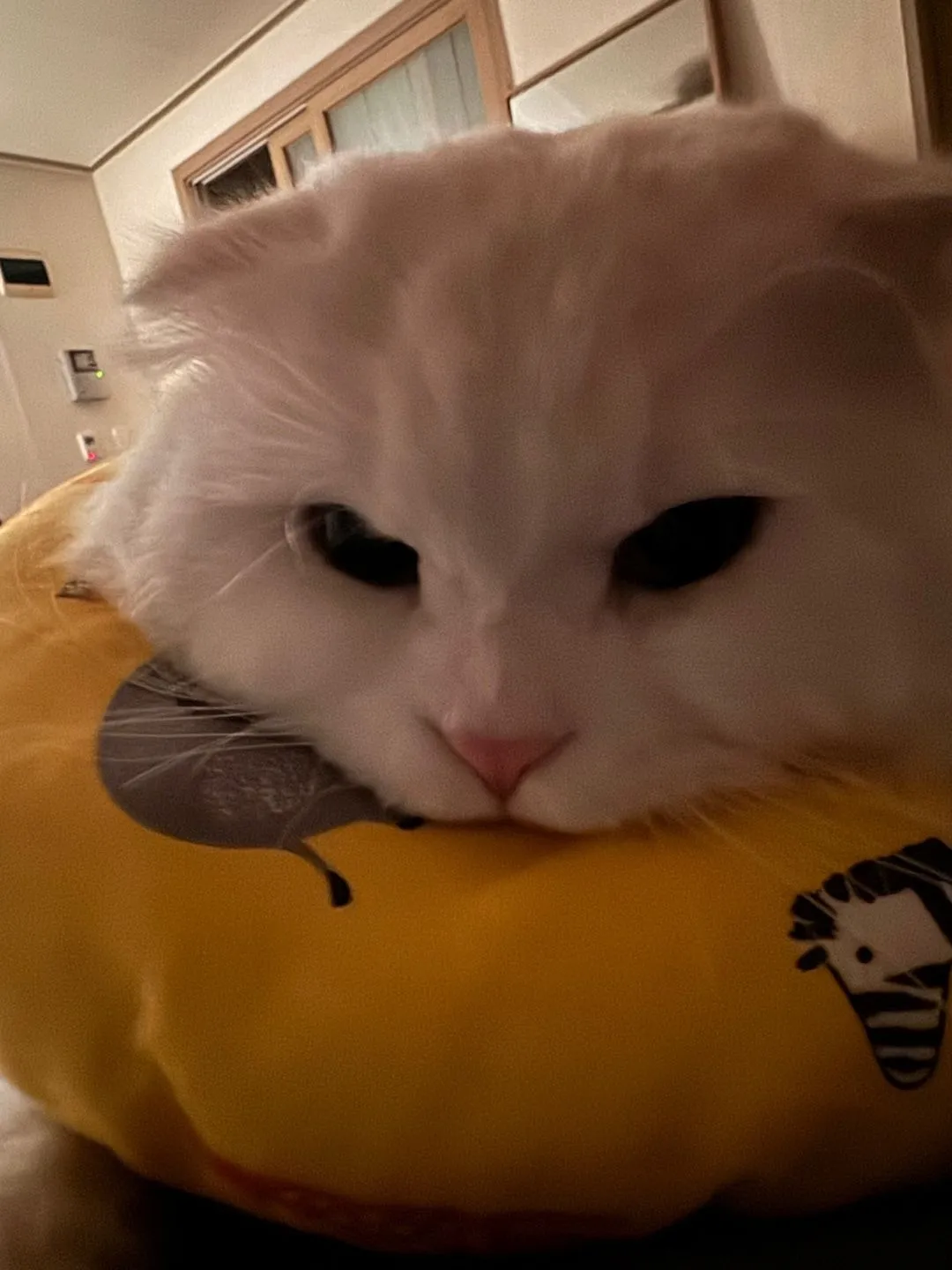 1번째 파일