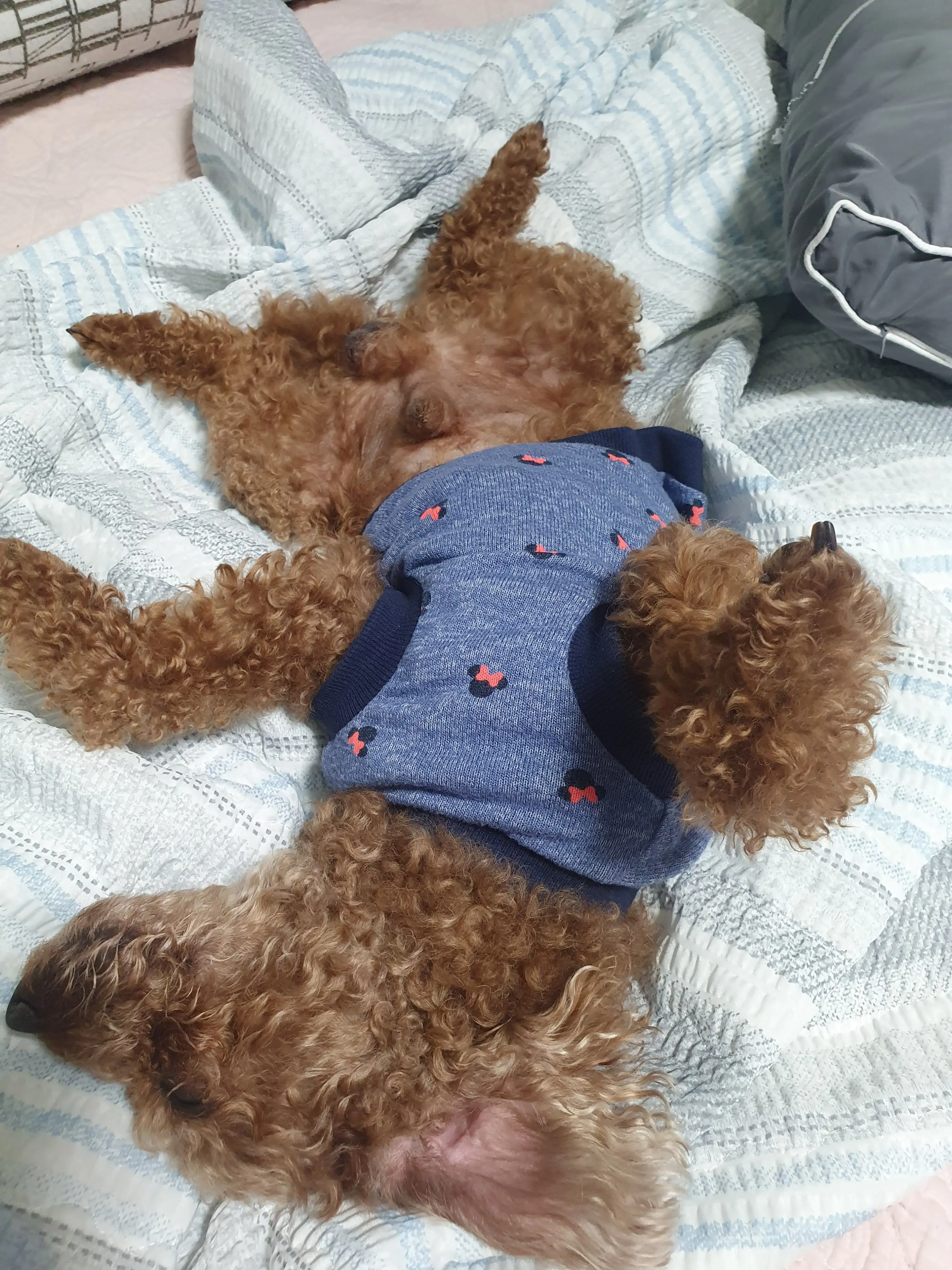 4번째 파일