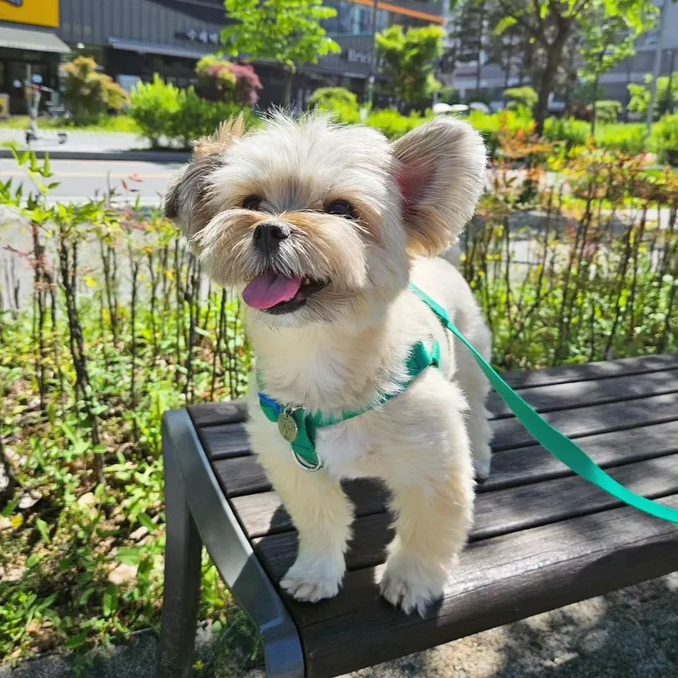 1번째 파일