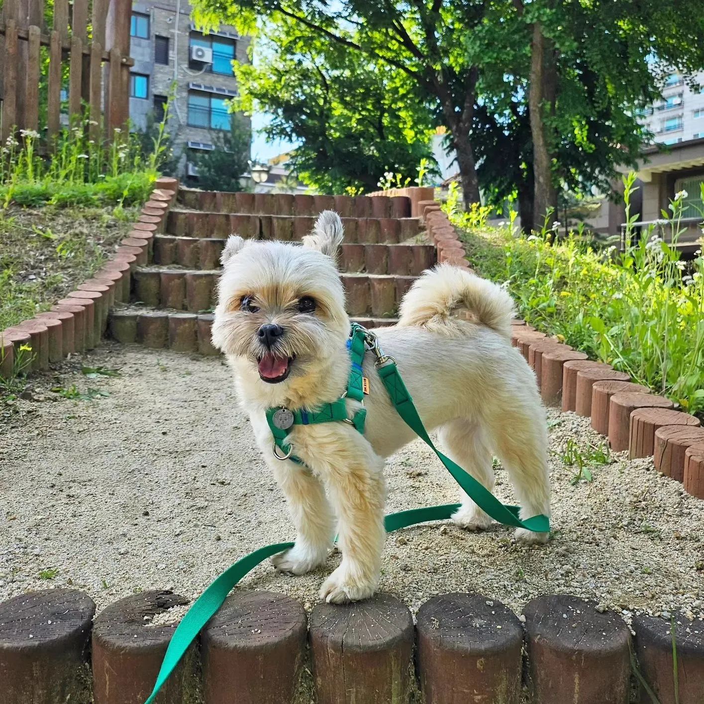 4번째 파일