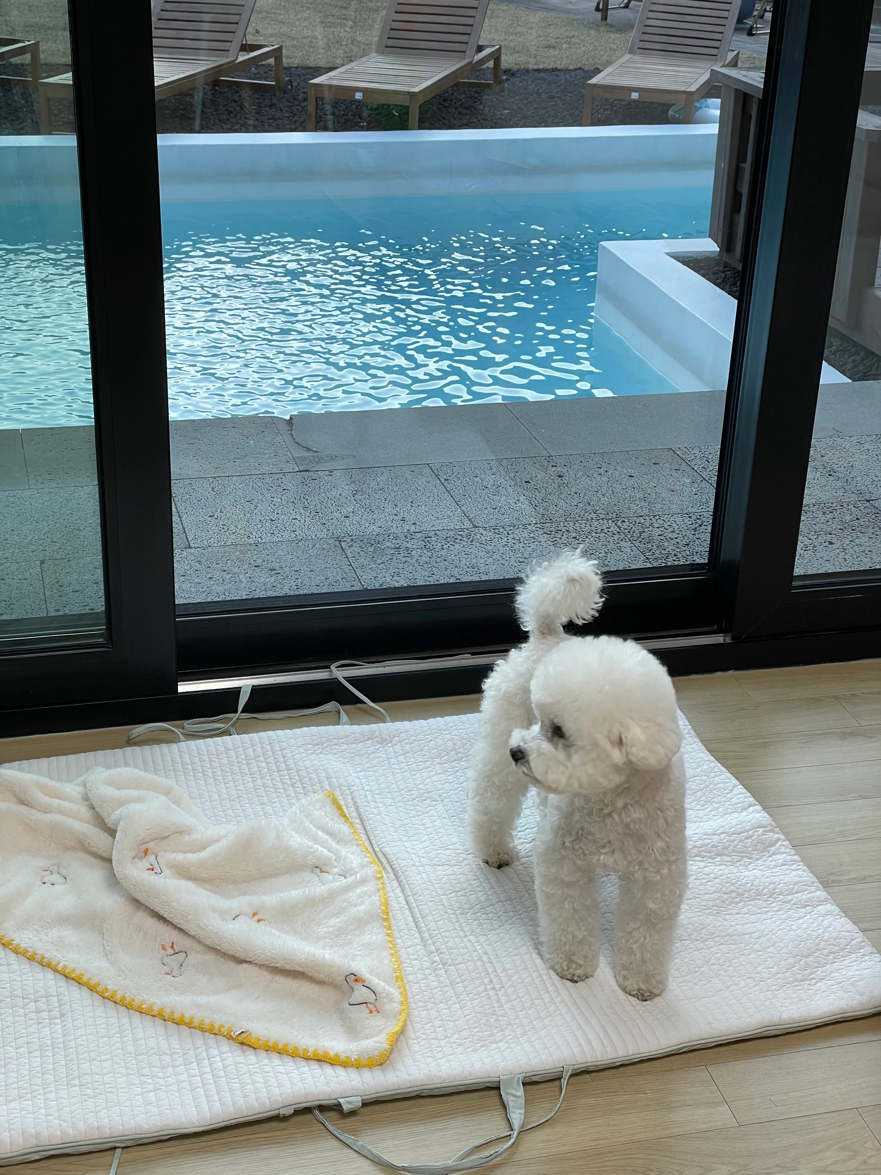 2번째 파일