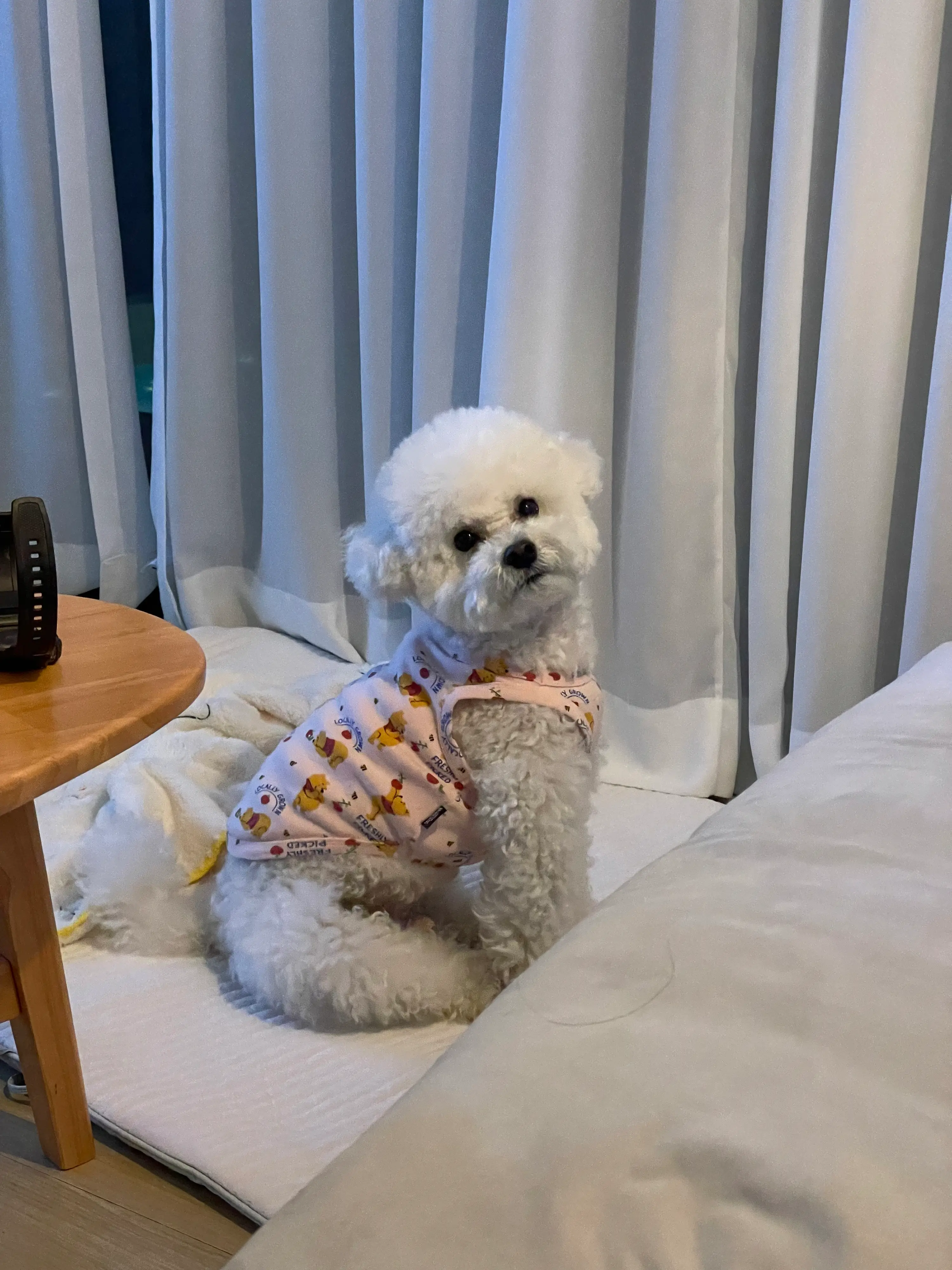 5번째 파일