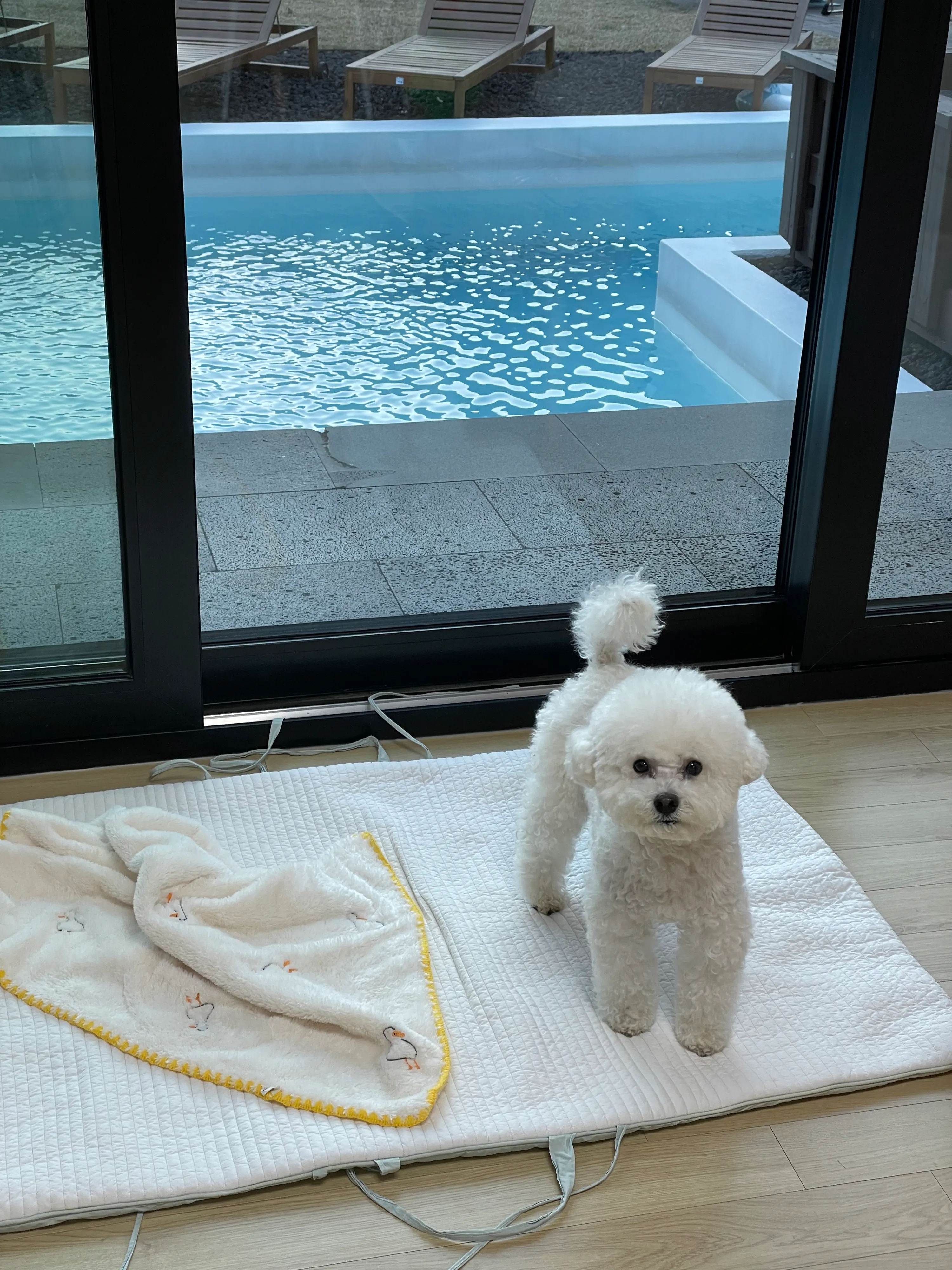 1번째 파일