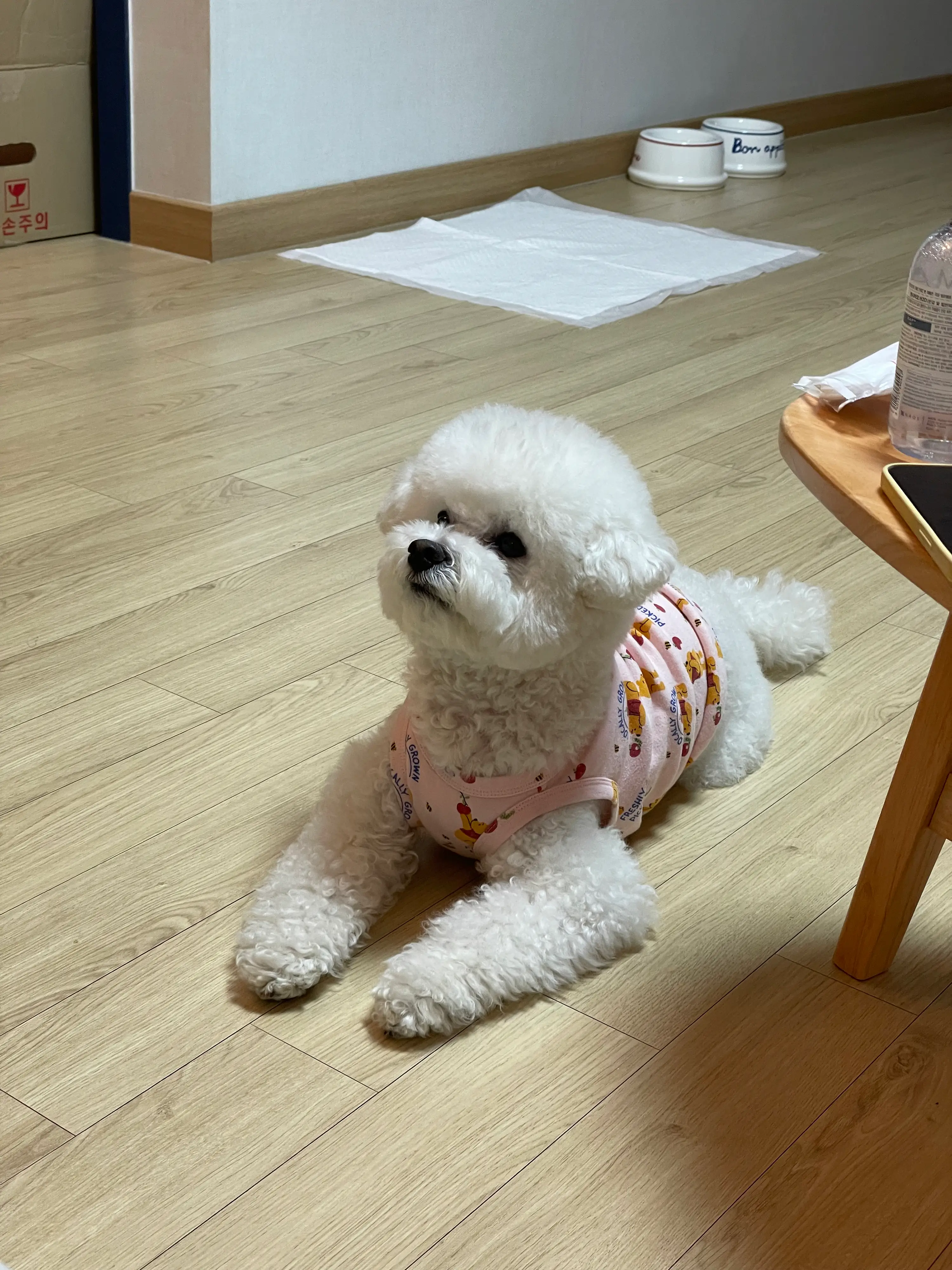 4번째 파일