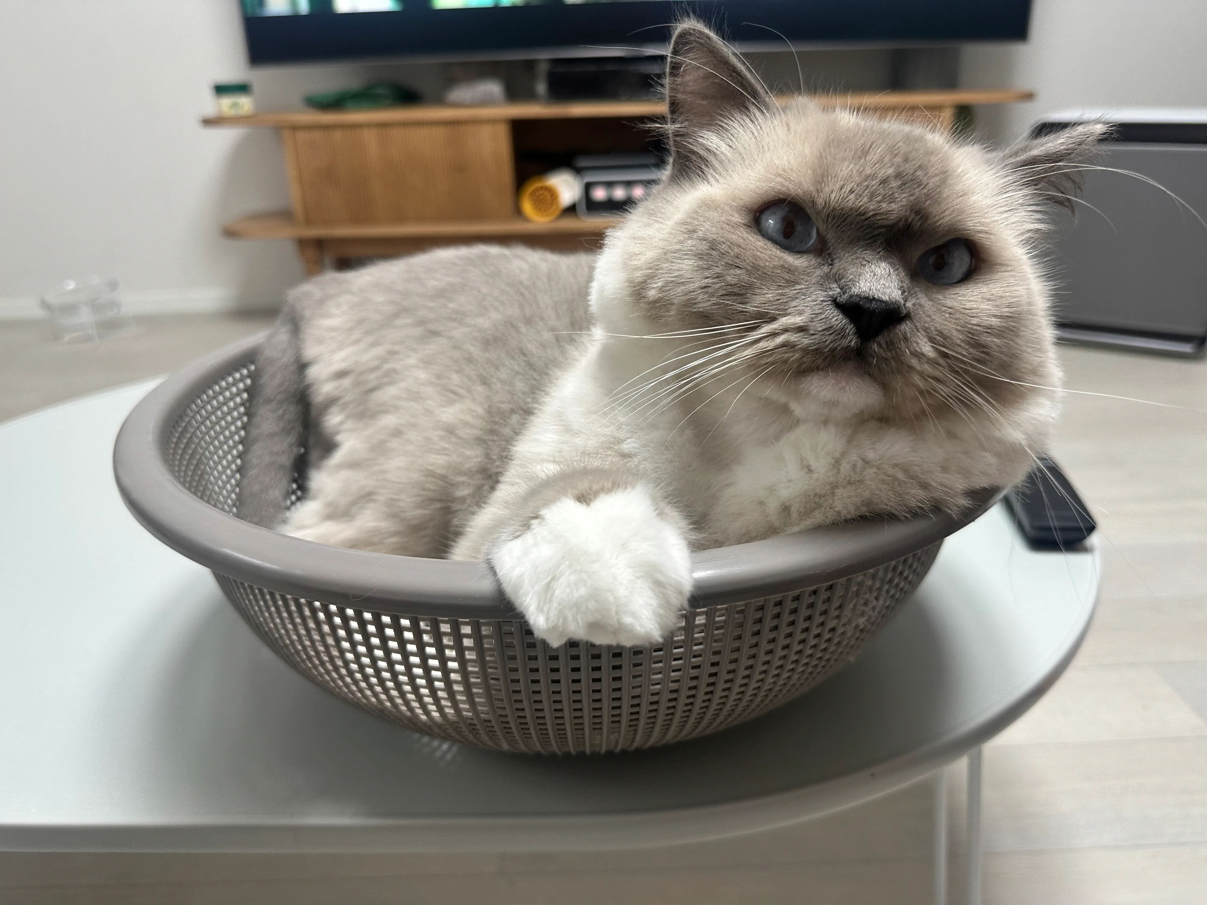 3번째 파일