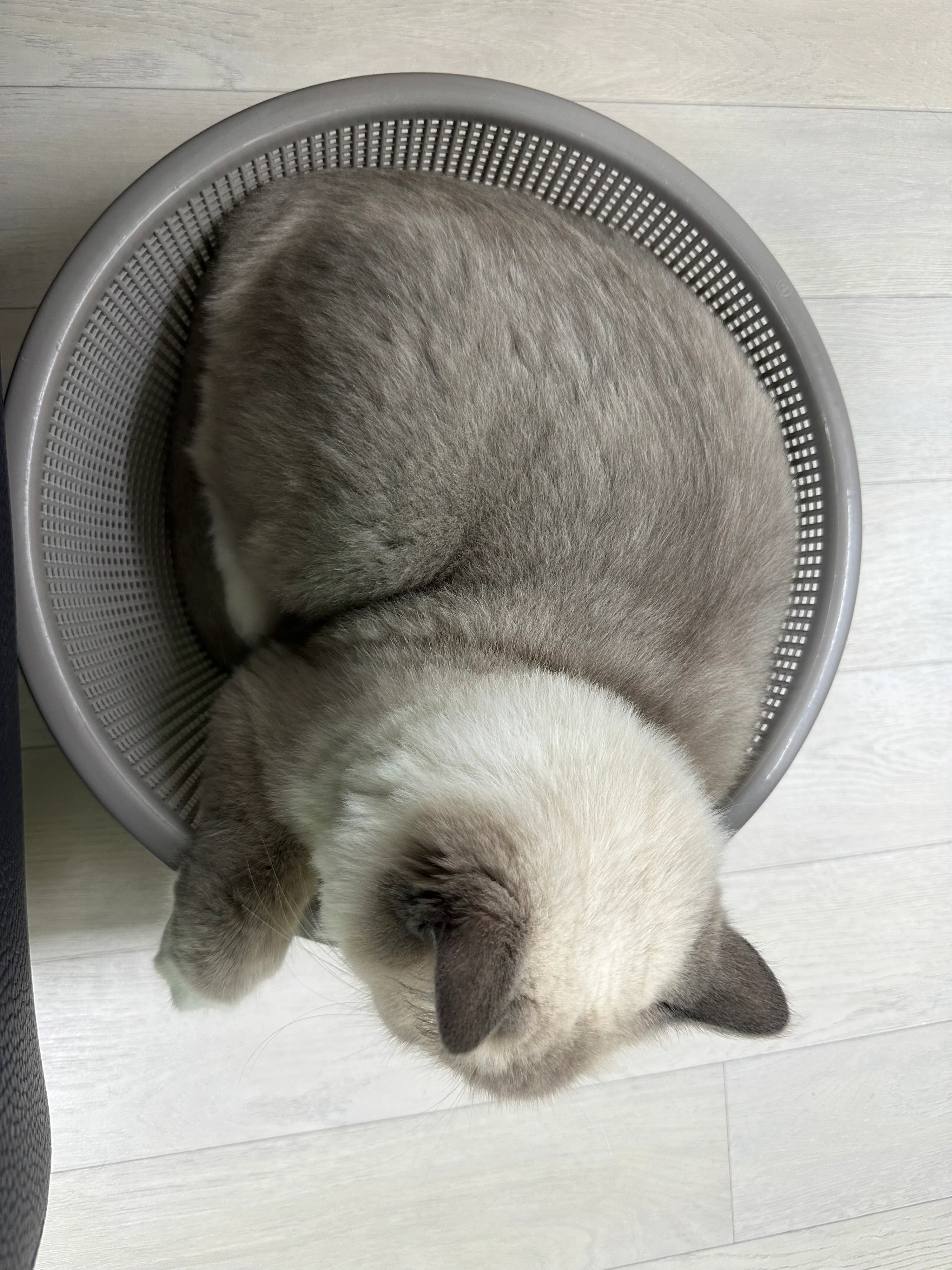 1번째 파일