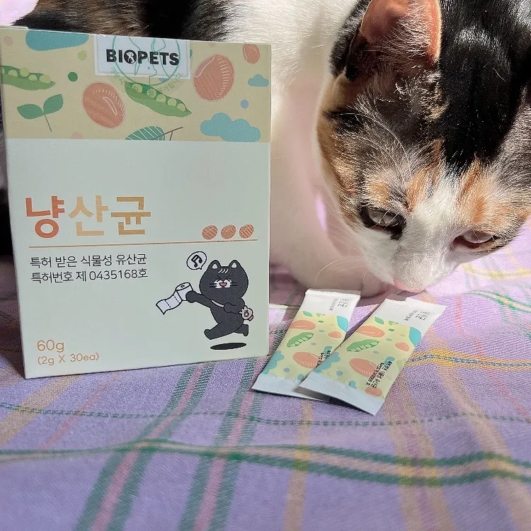 4번째 파일