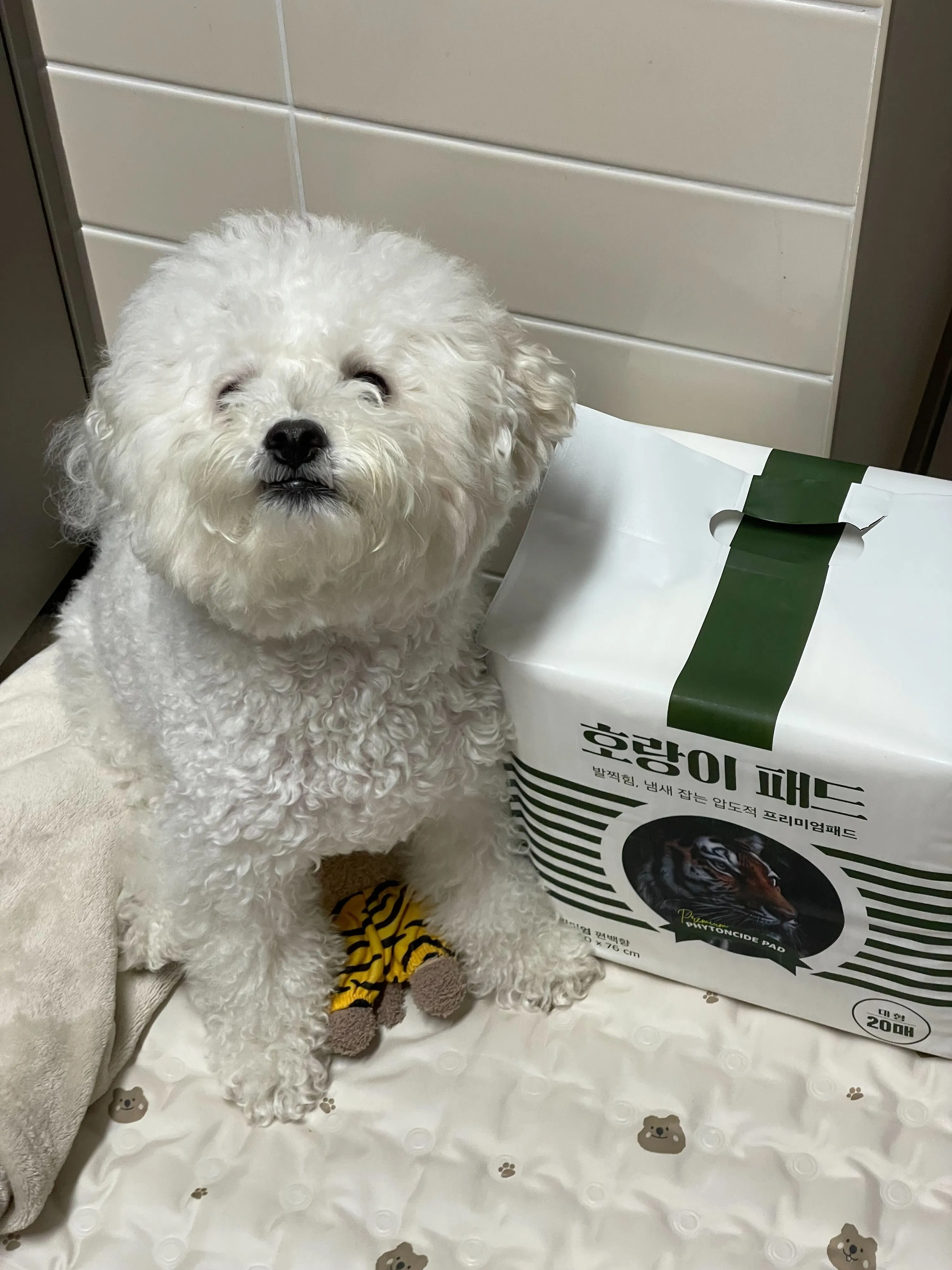 2번째 파일