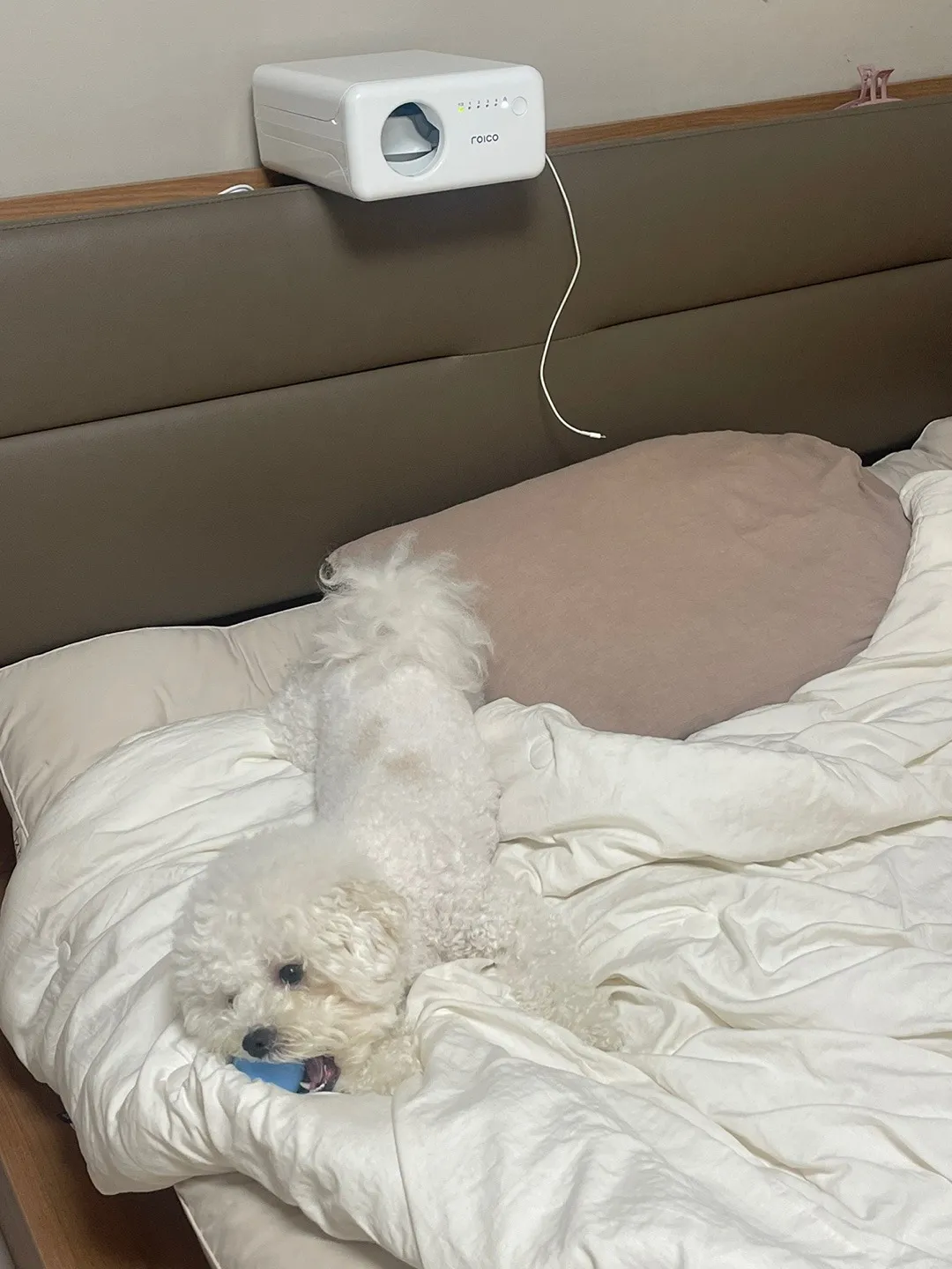 1번째 파일