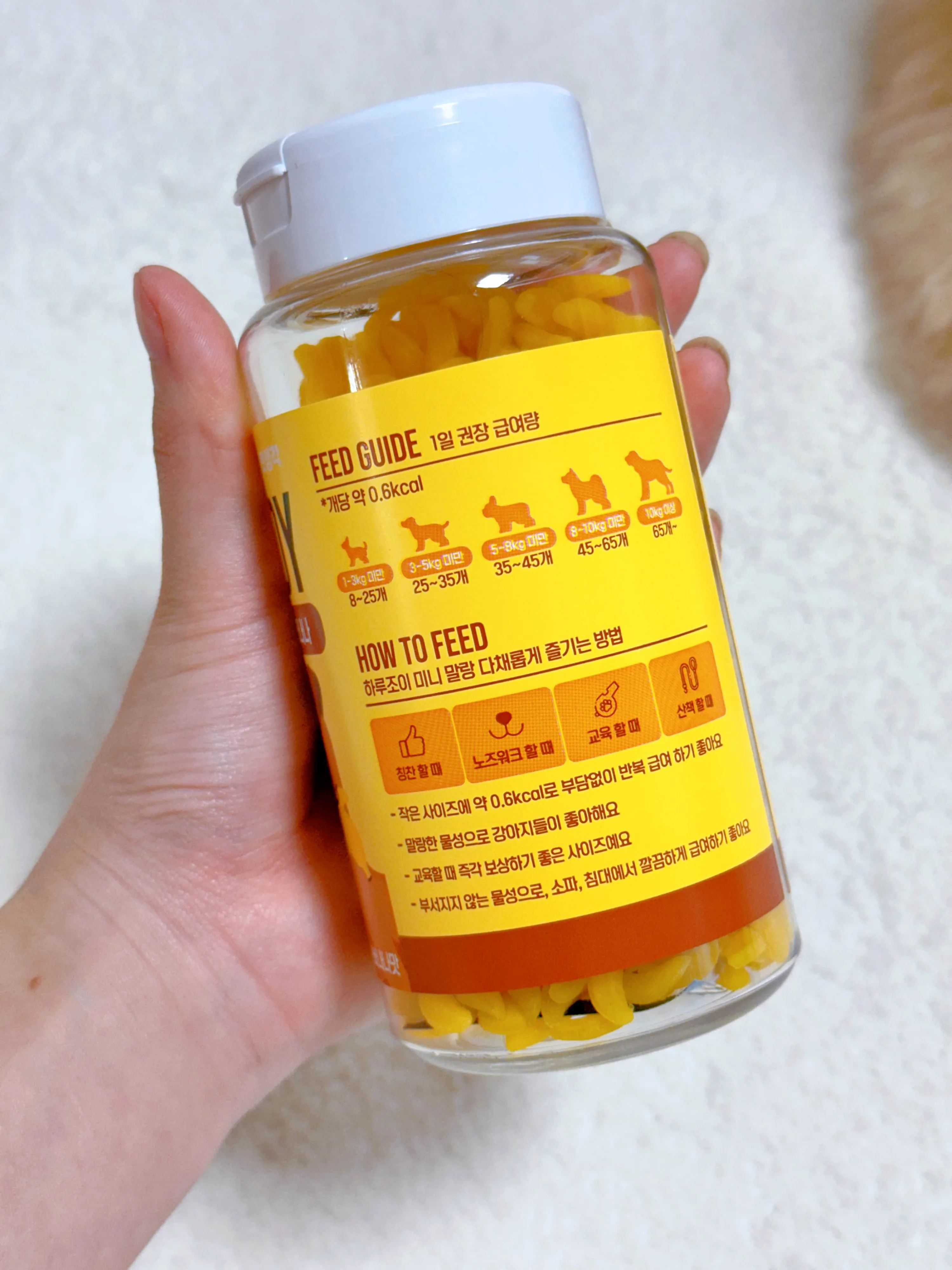 5번째 파일