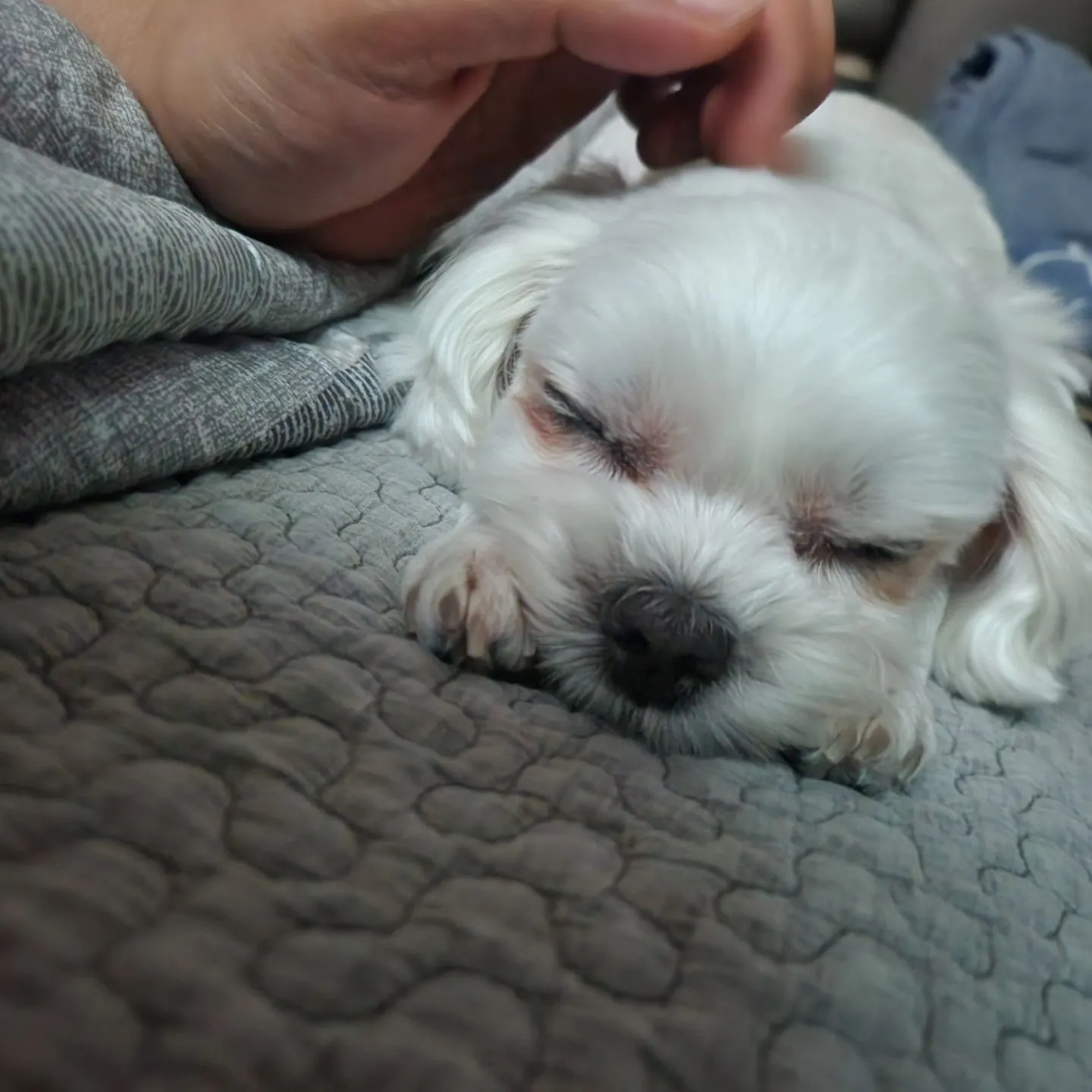 1번째 파일