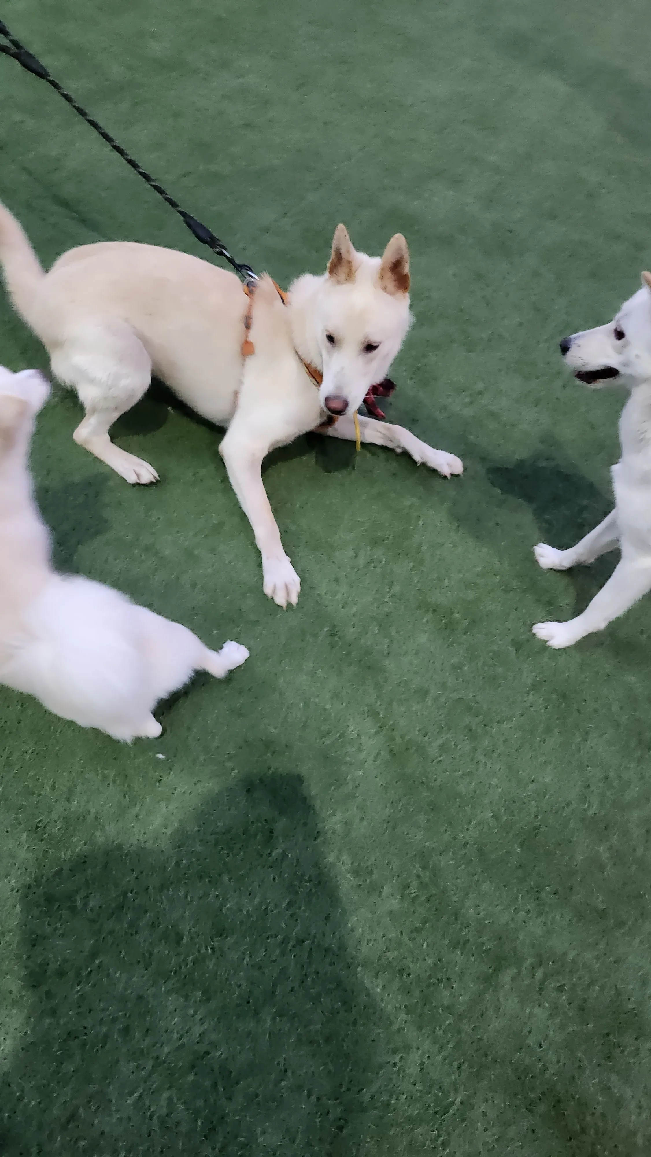3번째 파일